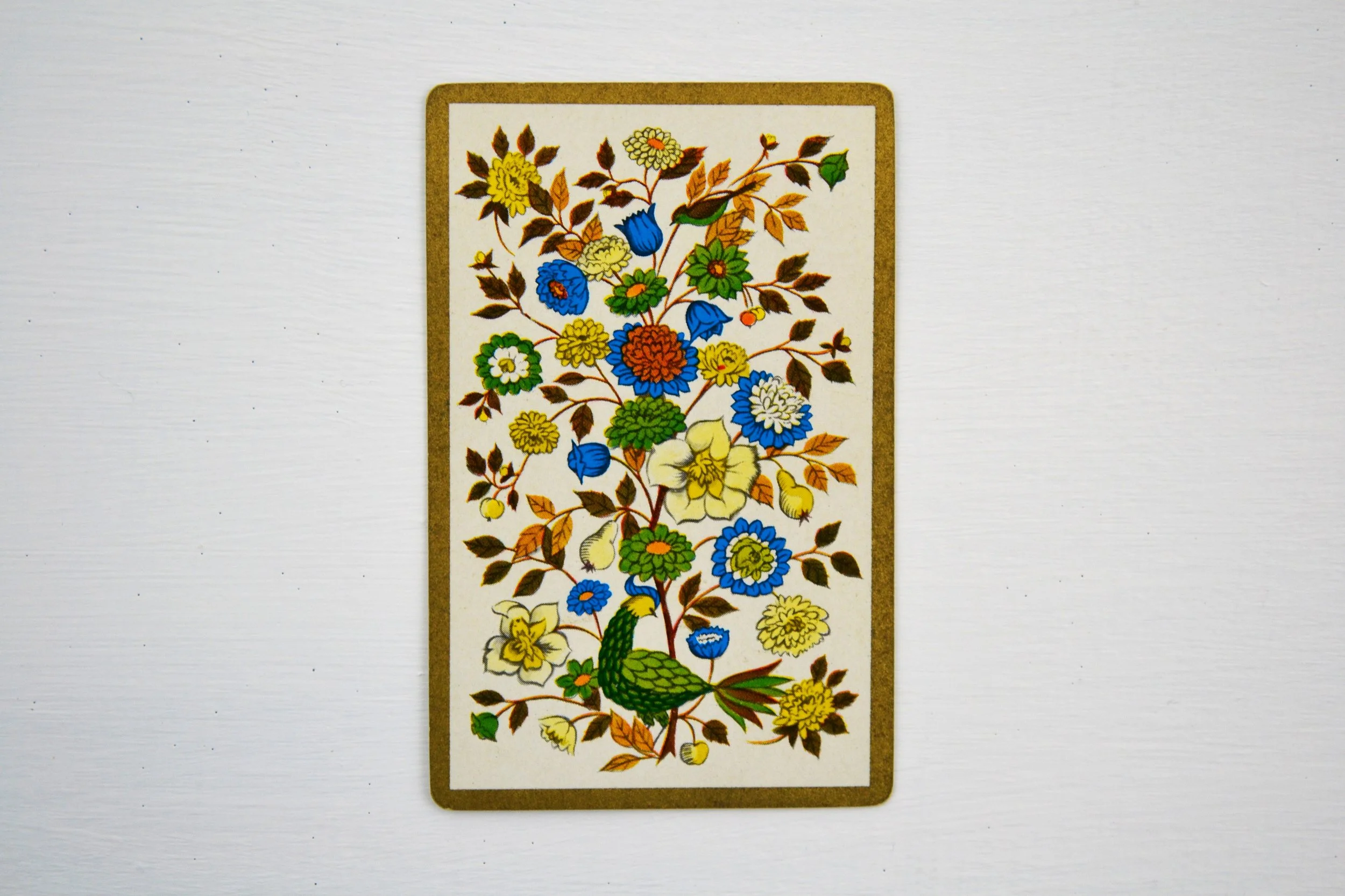 DSC_0001 - Copy (4).JPG