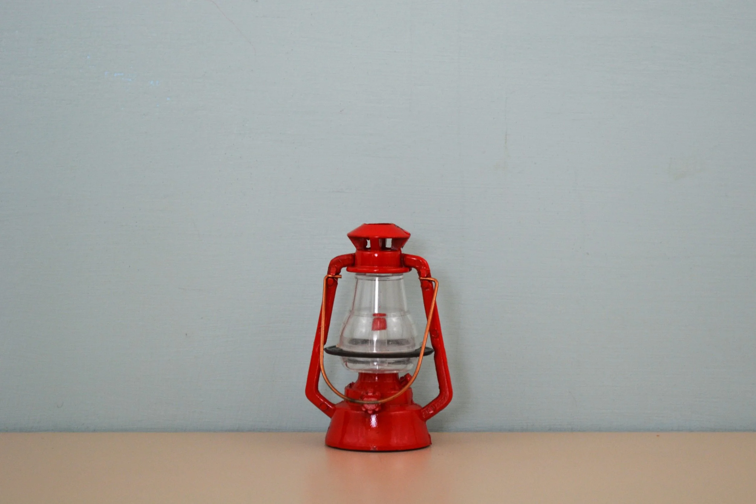 DSC_0022 - Copy (6).JPG