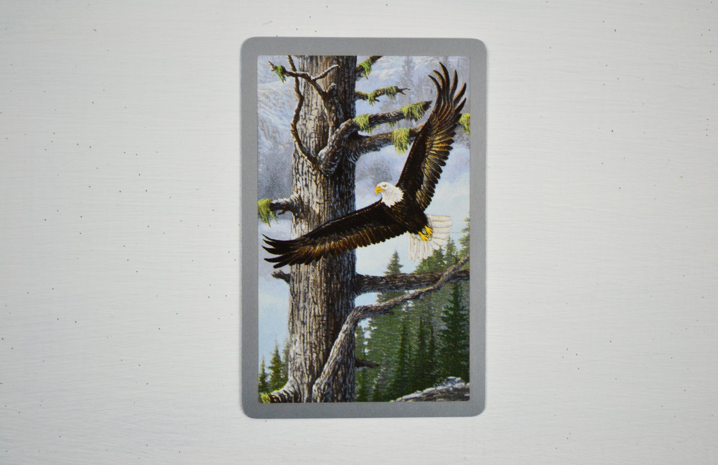 DSC_0020 - Copy (2).JPG