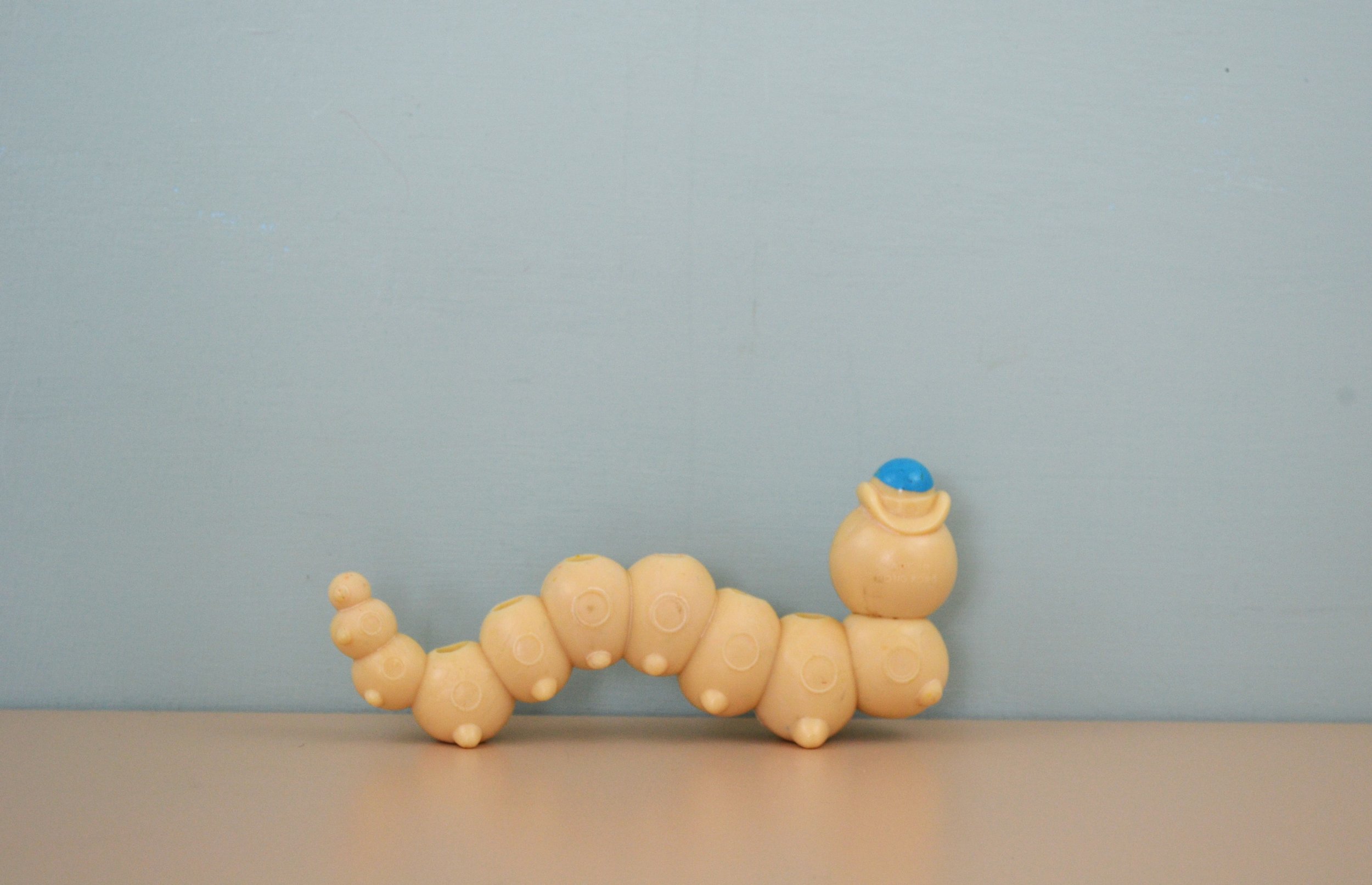 DSC_0006 - Copy (14).JPG