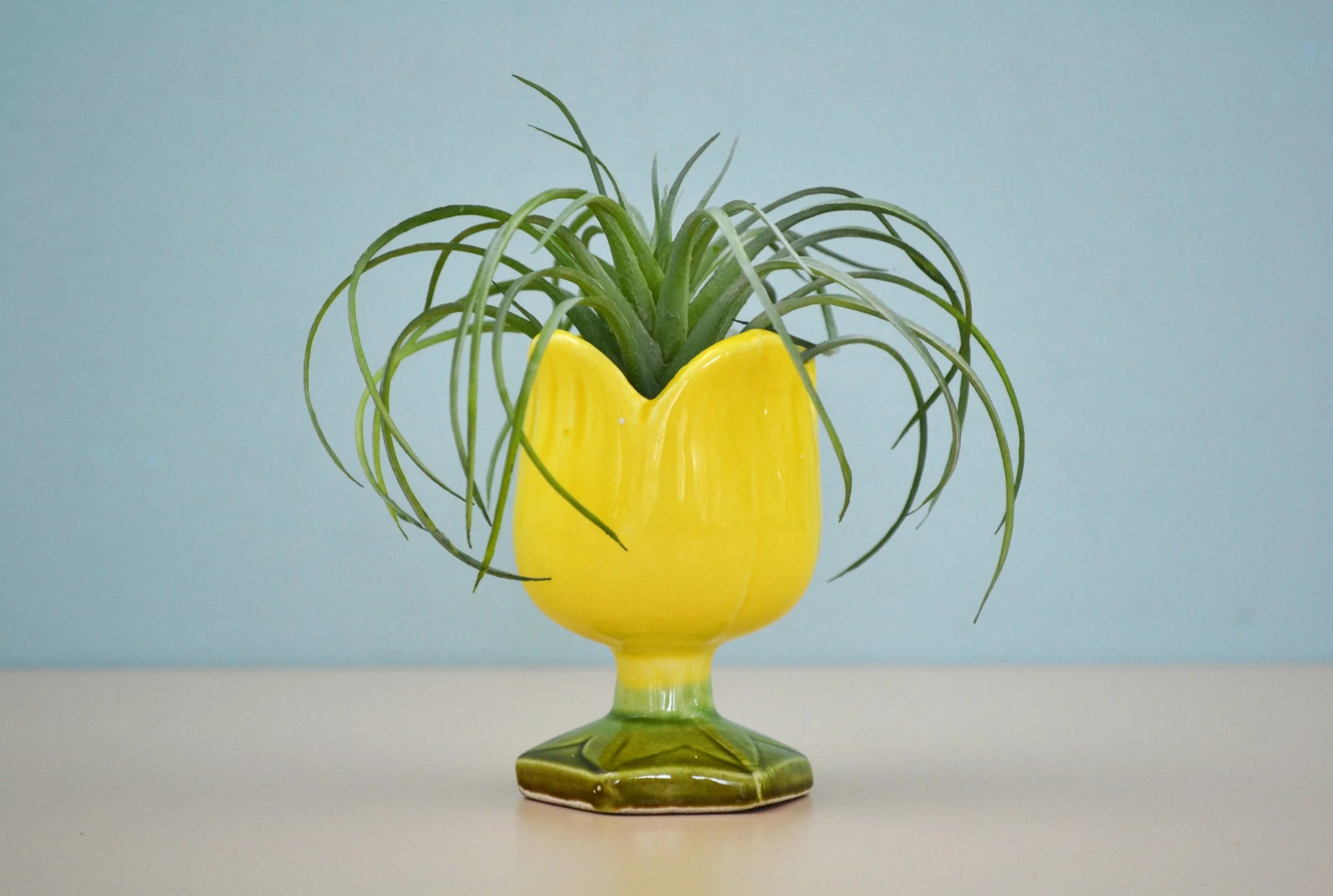 DSC_0014 - Copy (2).JPG