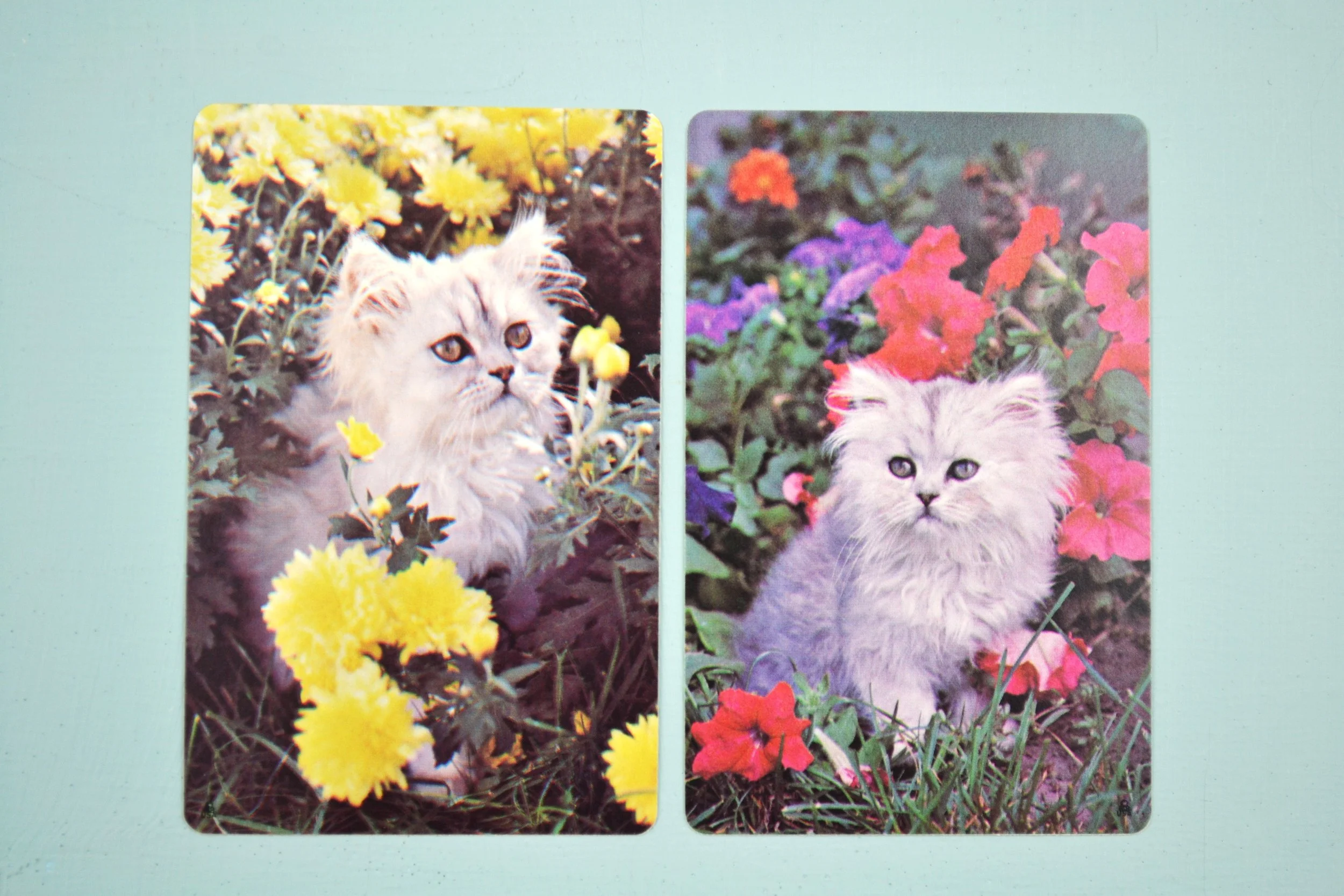 DSC_0031 - Copy (6).JPG