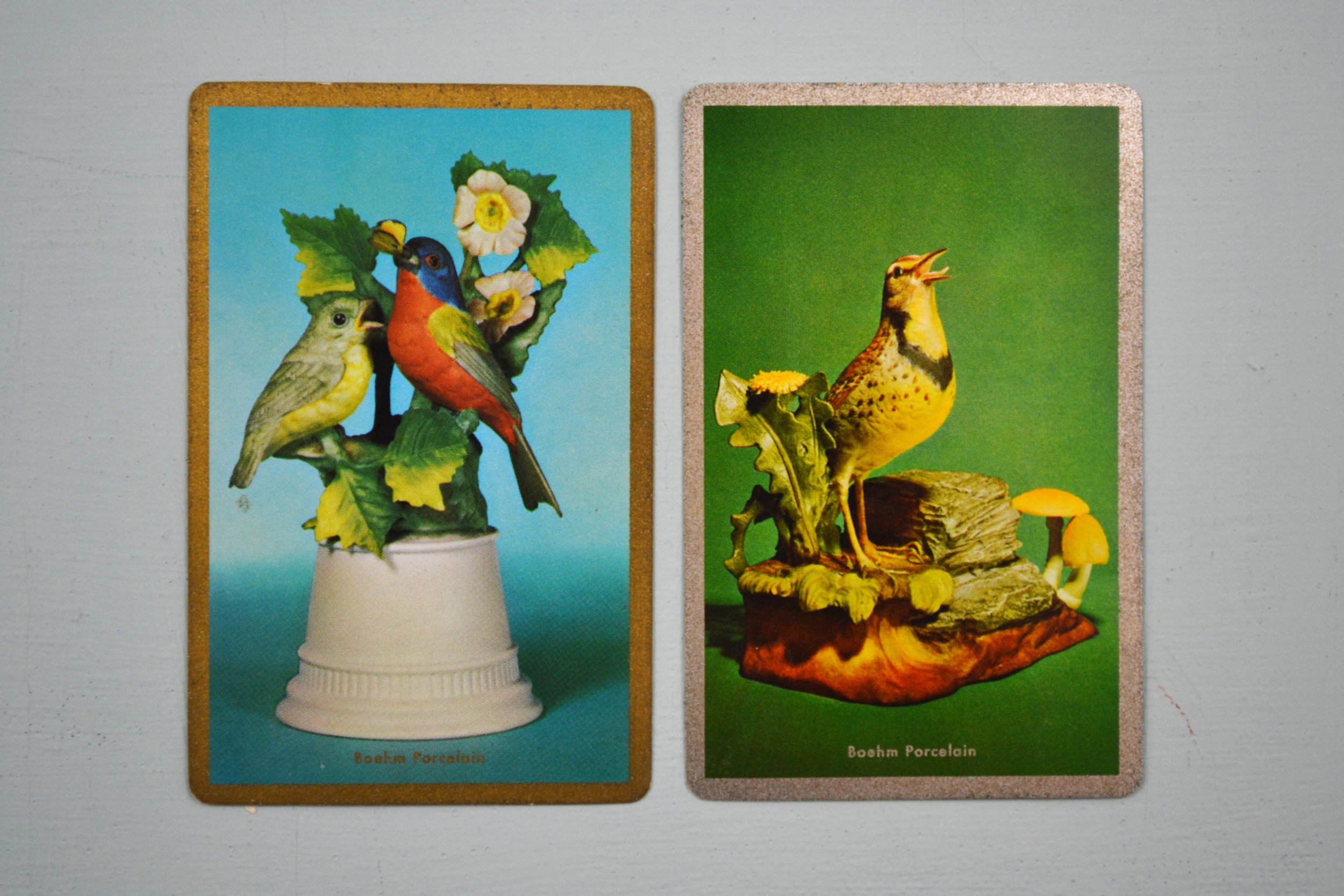 DSC_0001 - Copy (15).JPG