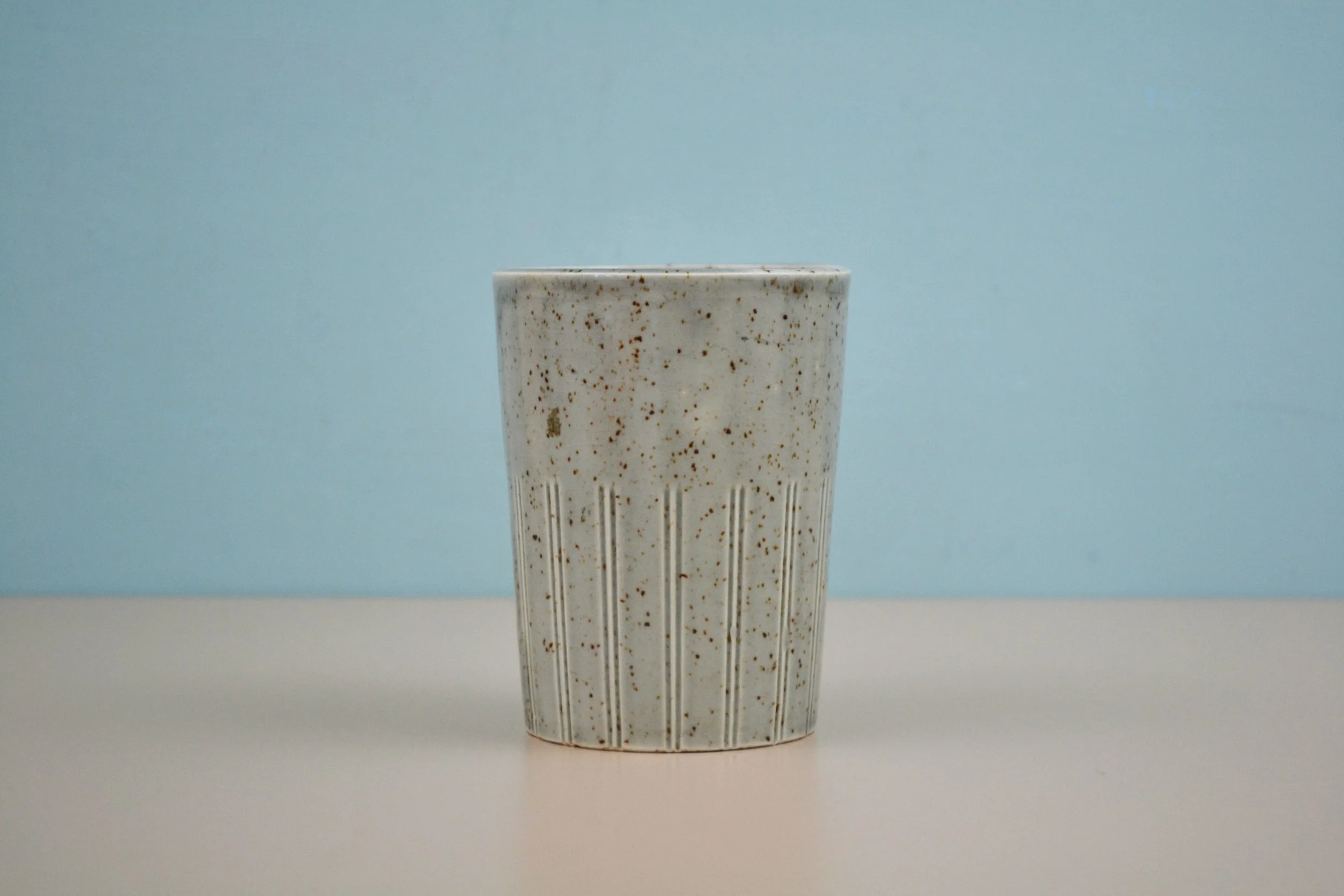 DSC_0041 - Copy (2).JPG