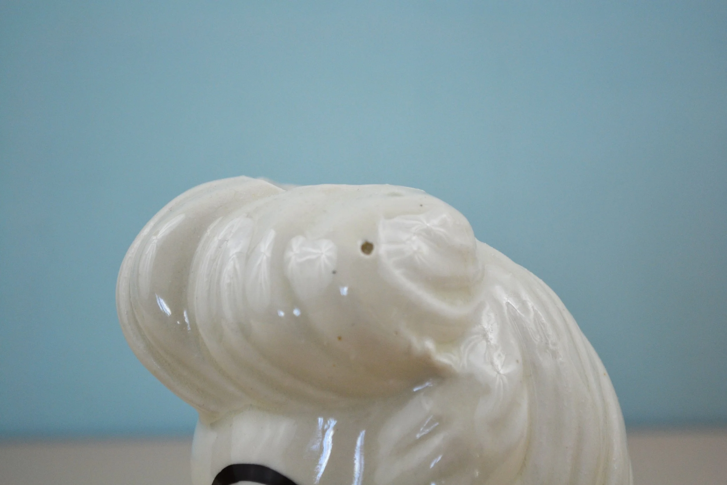 DSC_0009 - Copy (4).JPG