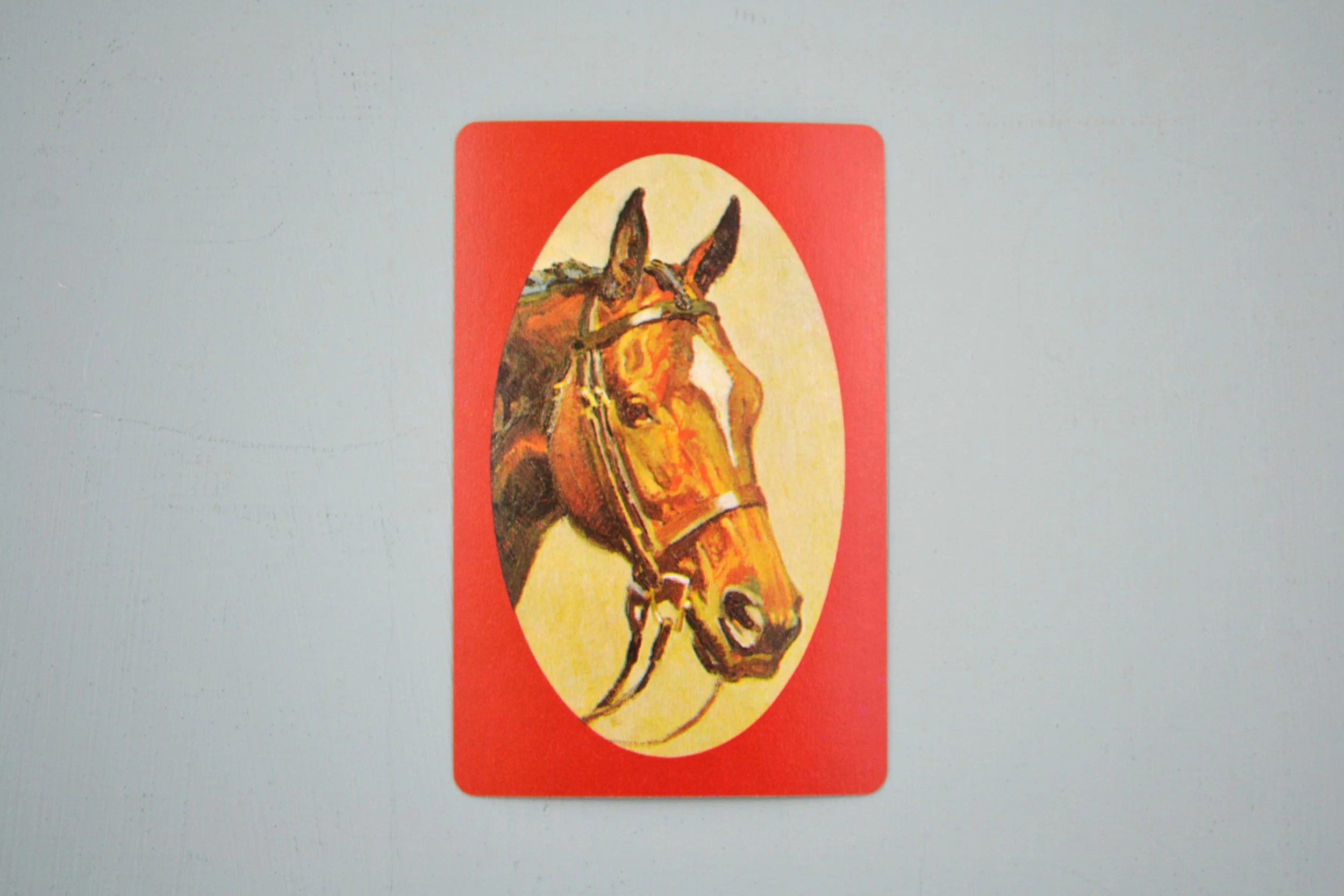 DSC_0024 - Copy (10).JPG