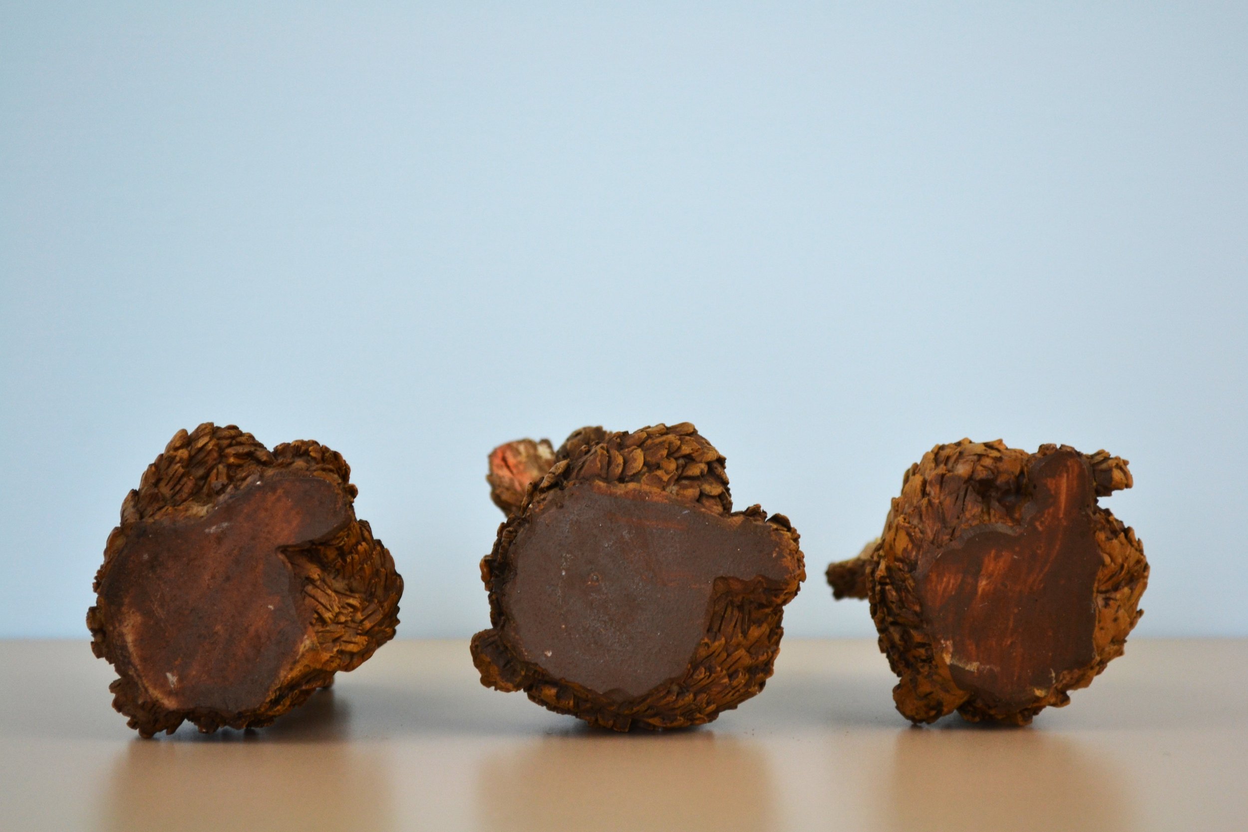 DSC_0024 - Copy (3).JPG