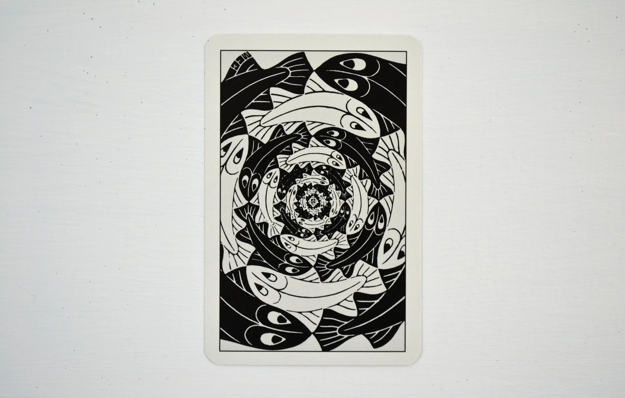 DSC_0028 - Copy (2).JPG