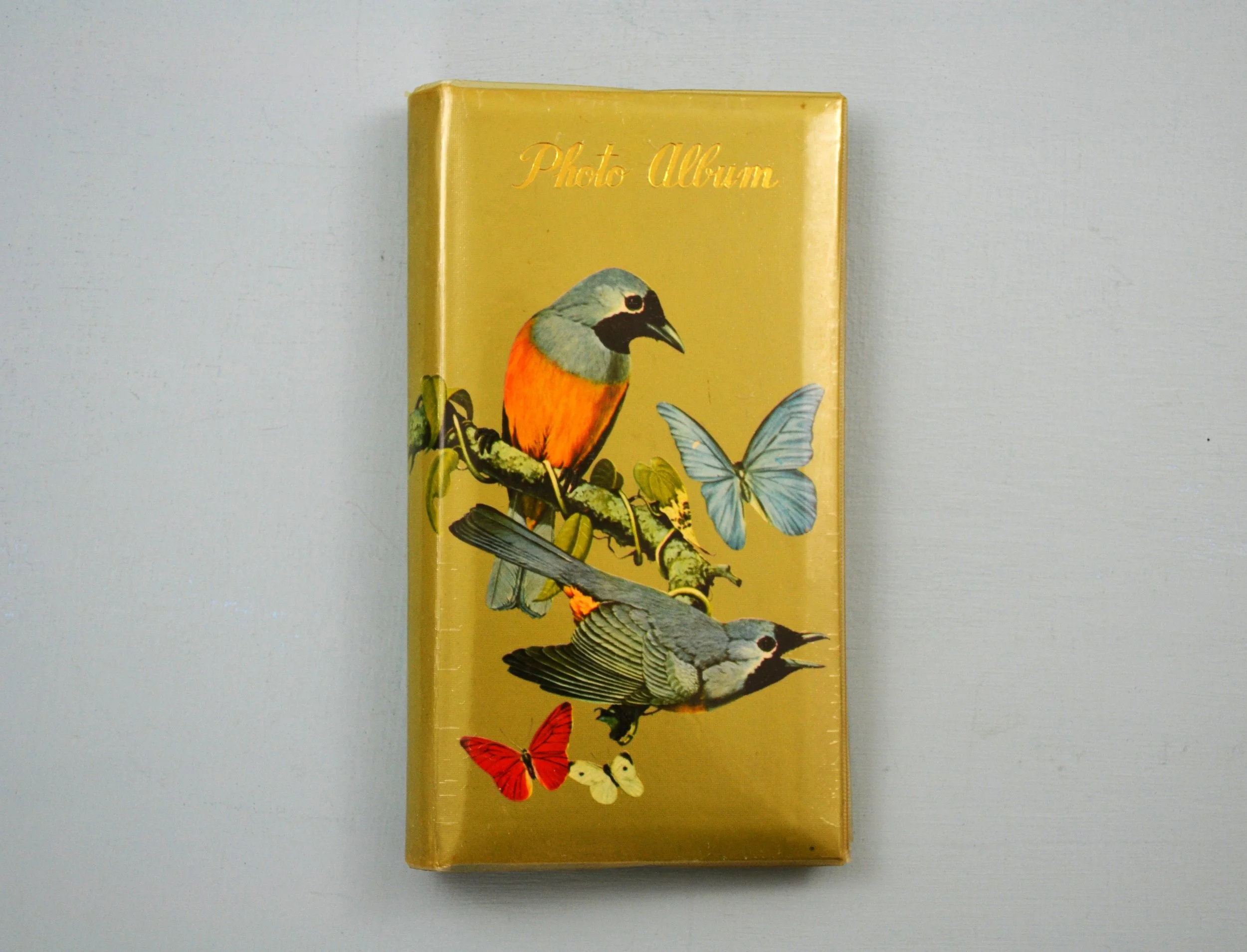 DSC_0028 - Copy (2).JPG