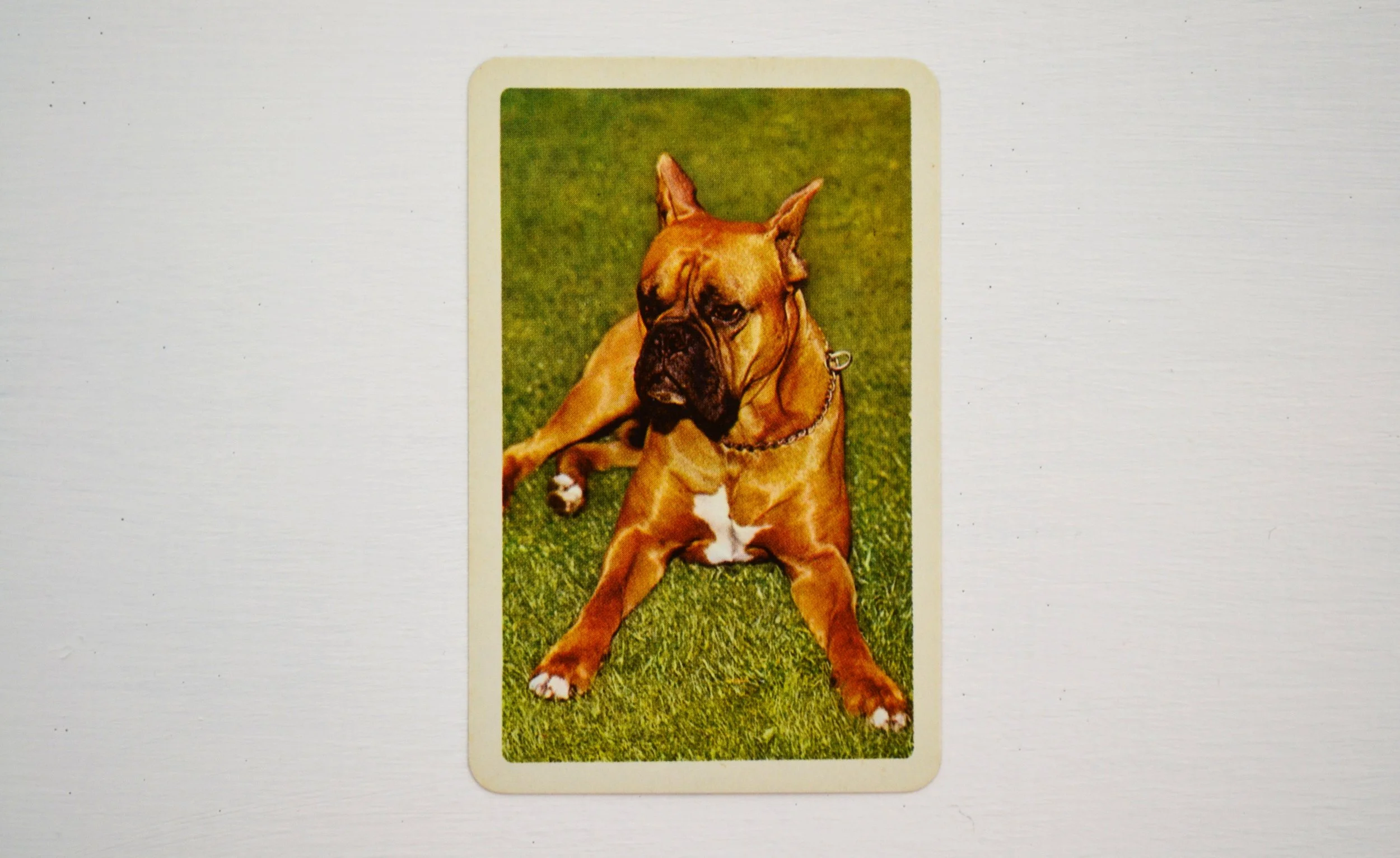 DSC_0008 - Copy (5).JPG