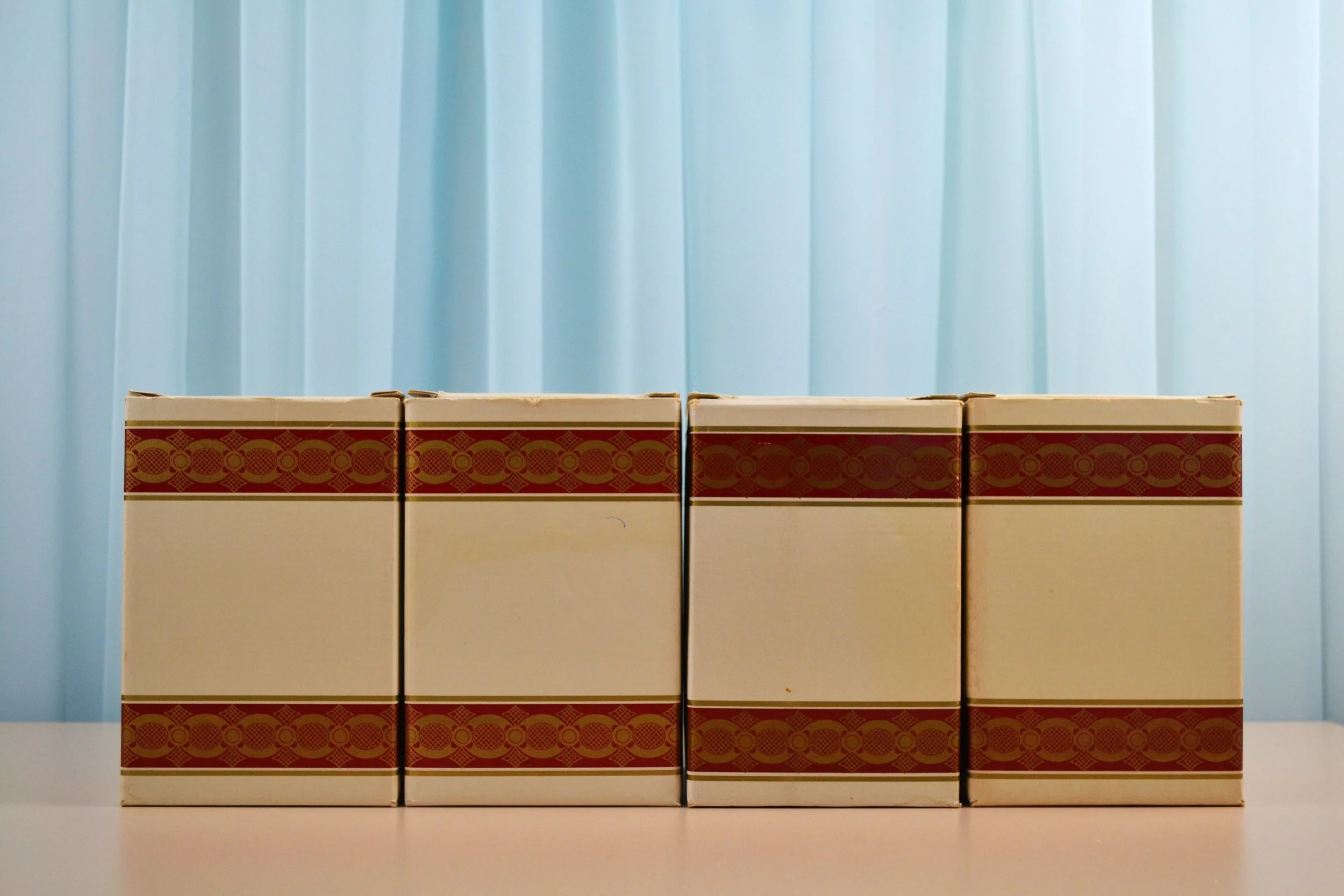 DSC_0014 - Copy (4).JPG