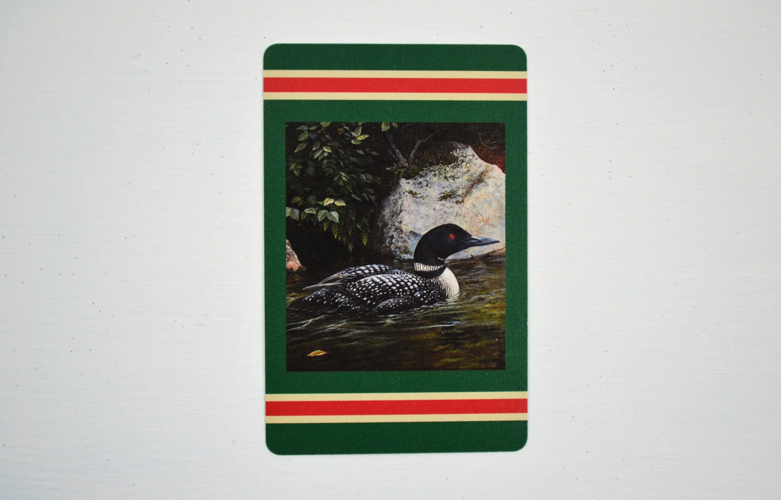 DSC_0018 - Copy (2).JPG