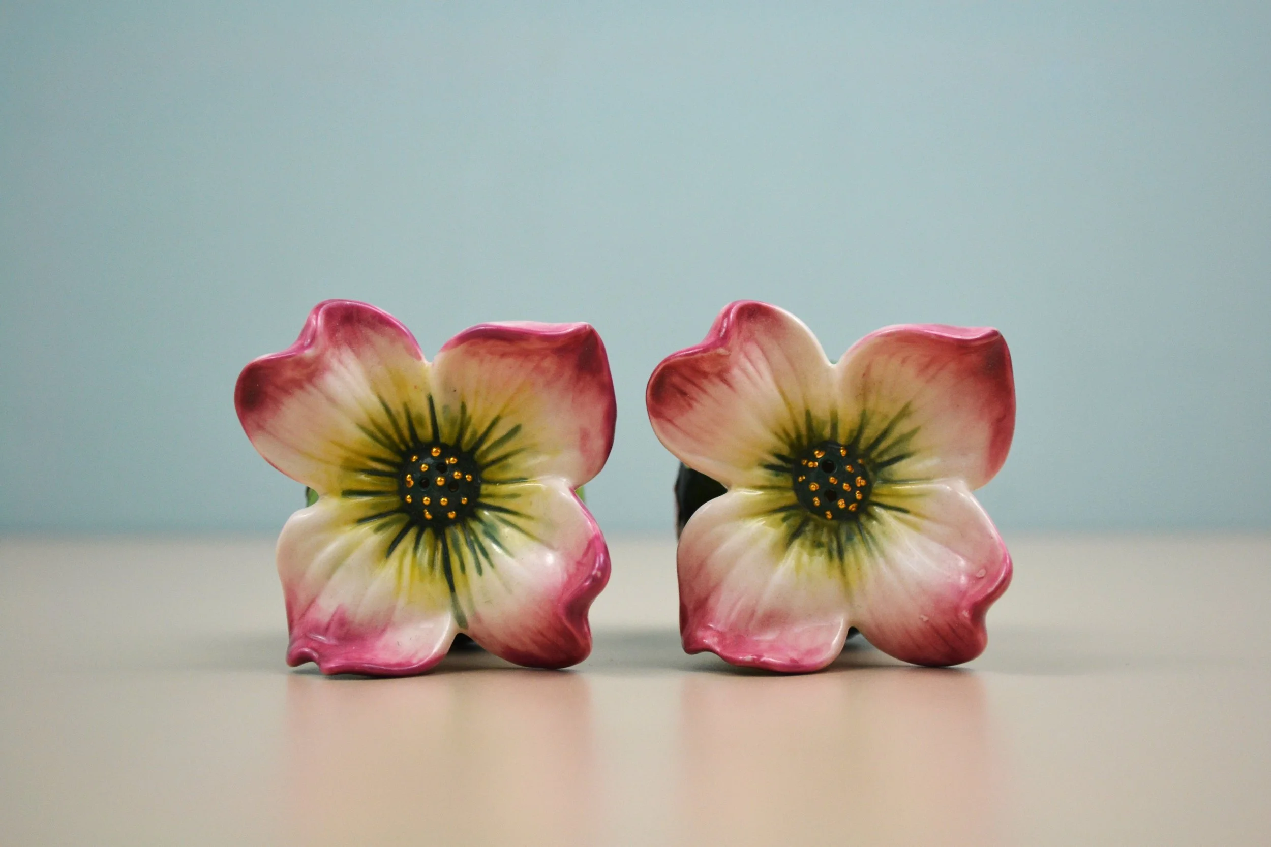 DSC_0018 - Copy (7).JPG