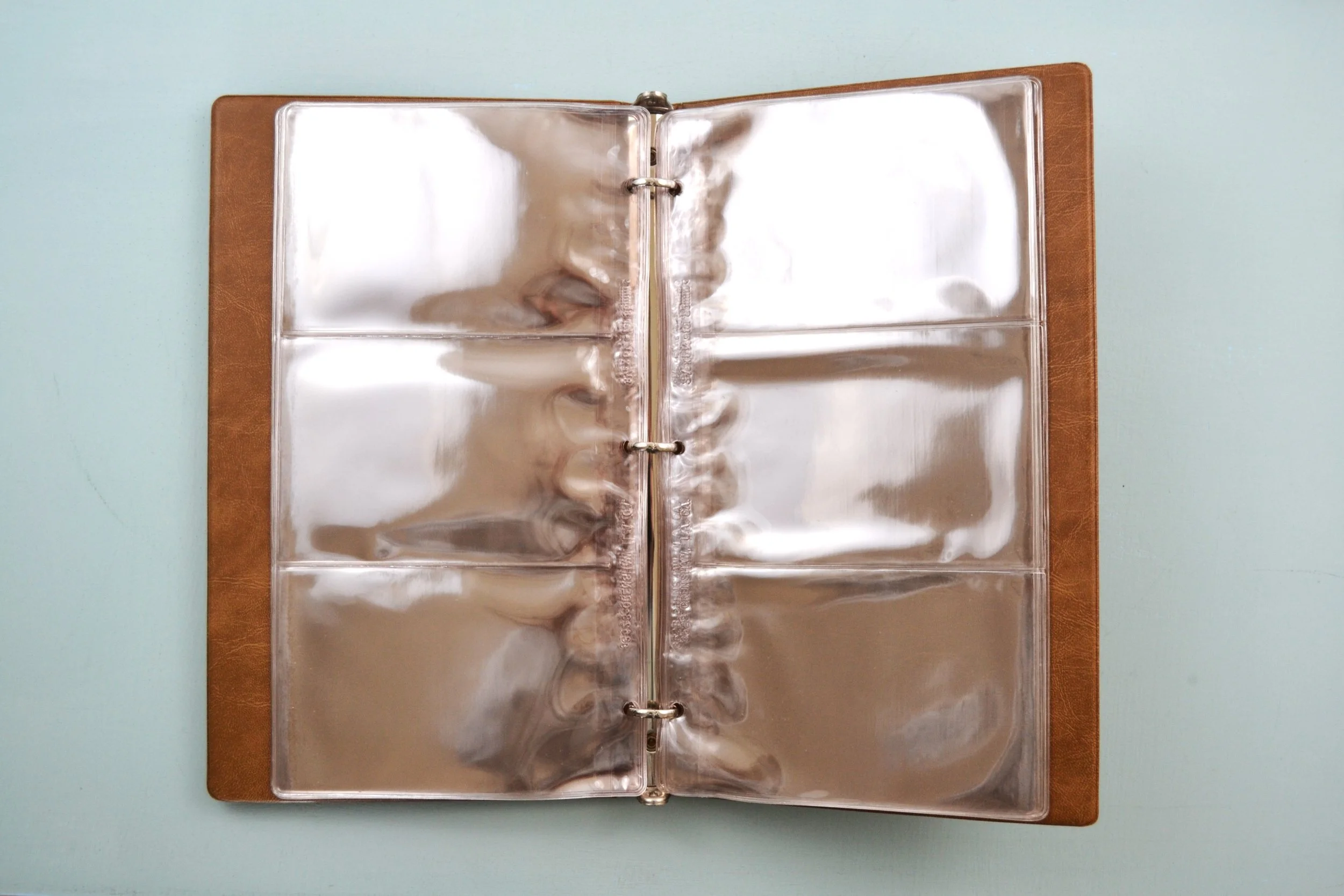 DSC_0018 - Copy (2).JPG