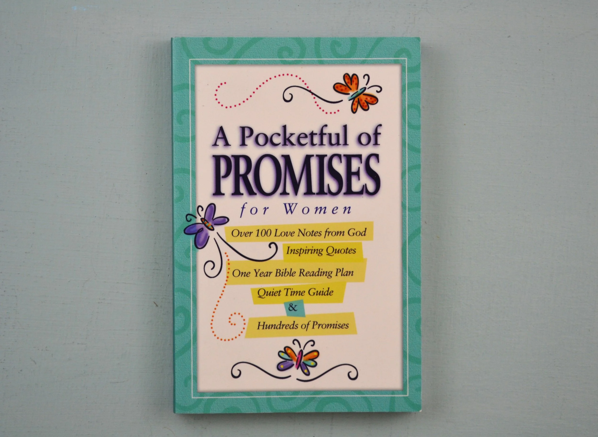 DSC_0031 - Copy (4).JPG