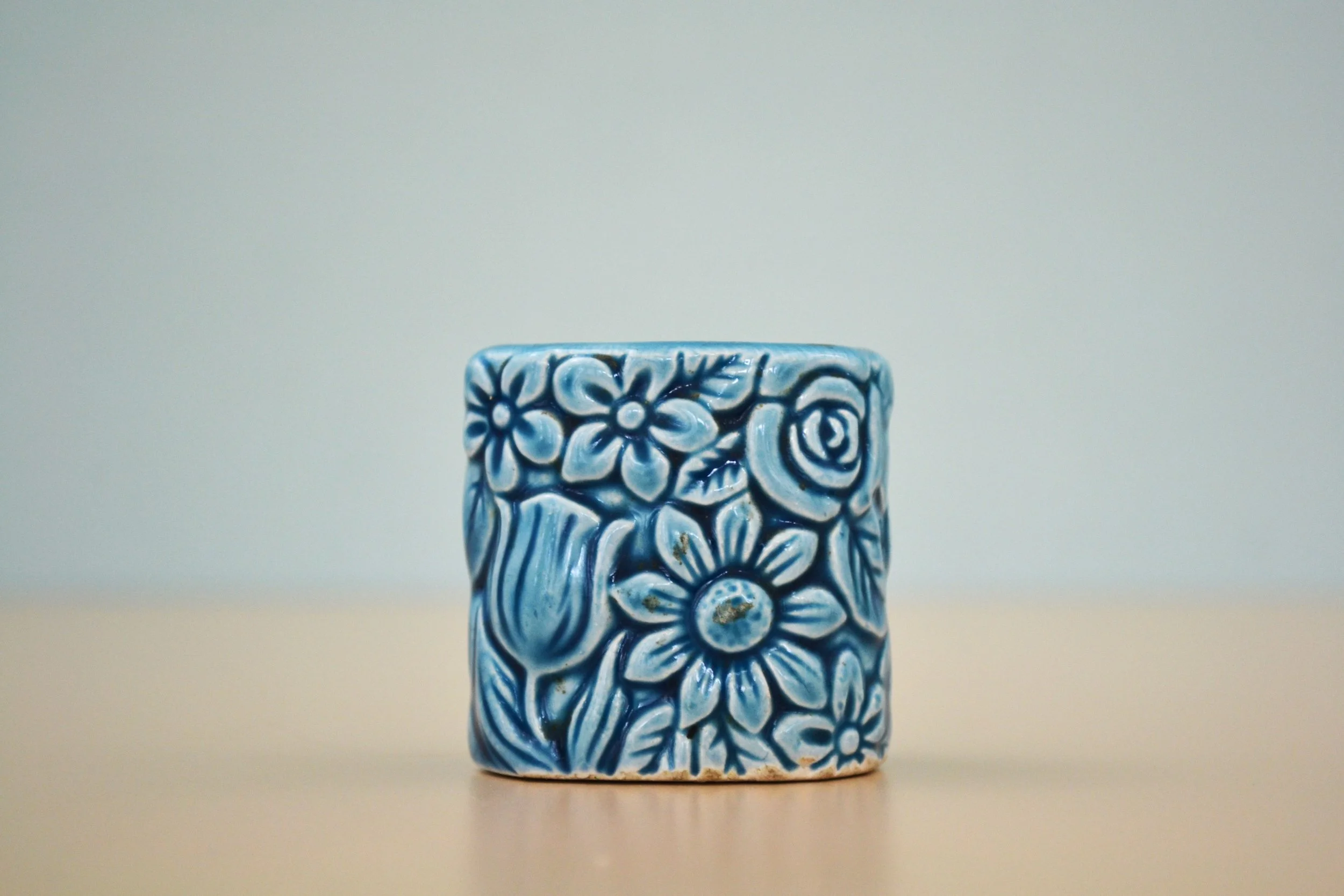 DSC_0026 - Copy (2).JPG