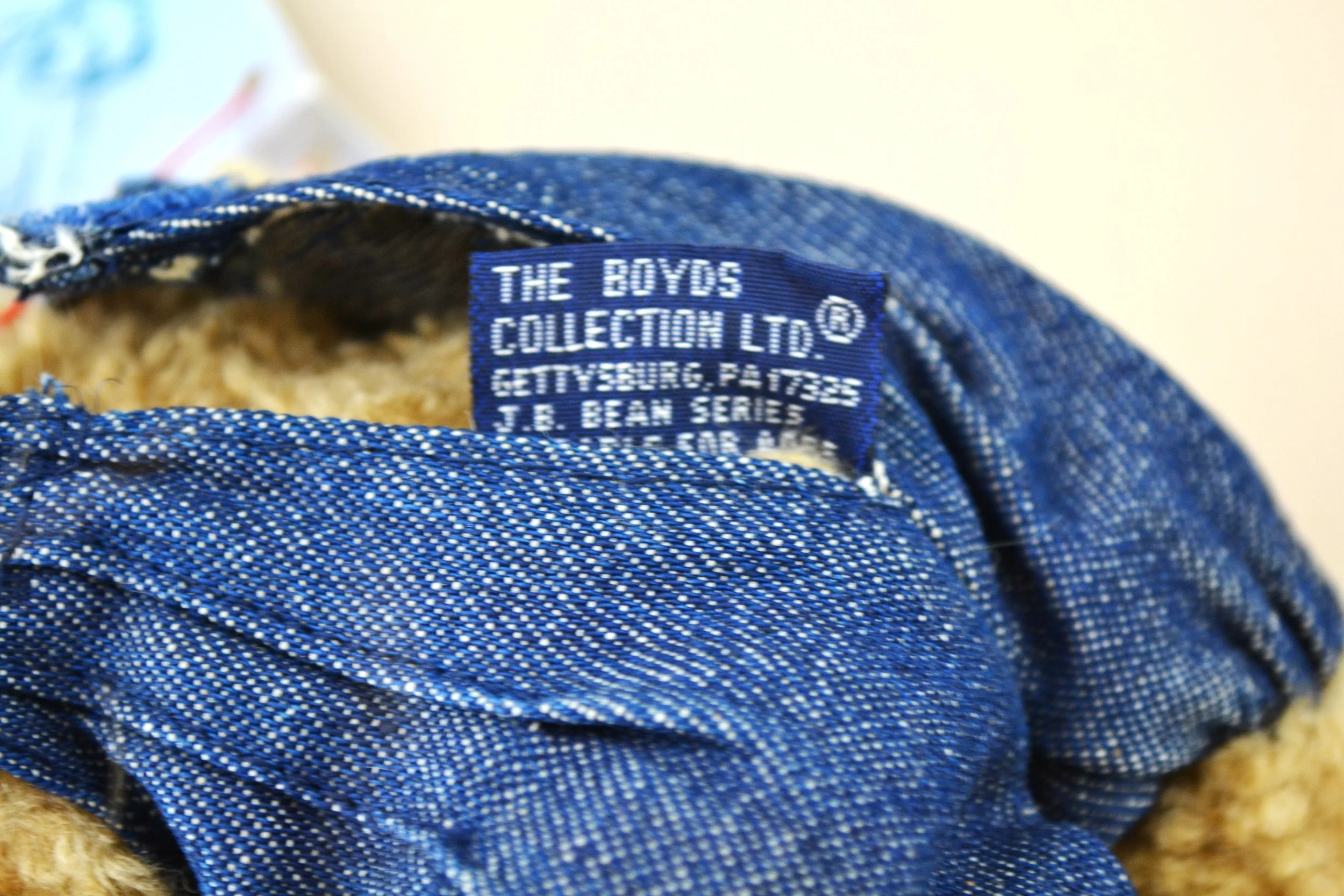 DSC_0016 - Copy (5).JPG