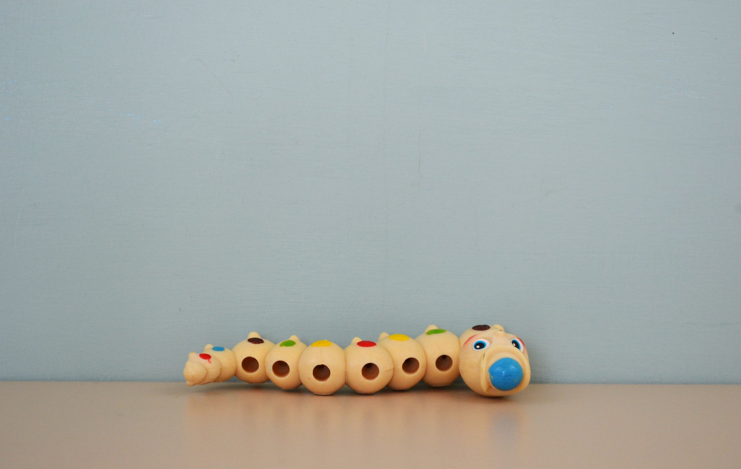 DSC_0007 - Copy (13).JPG