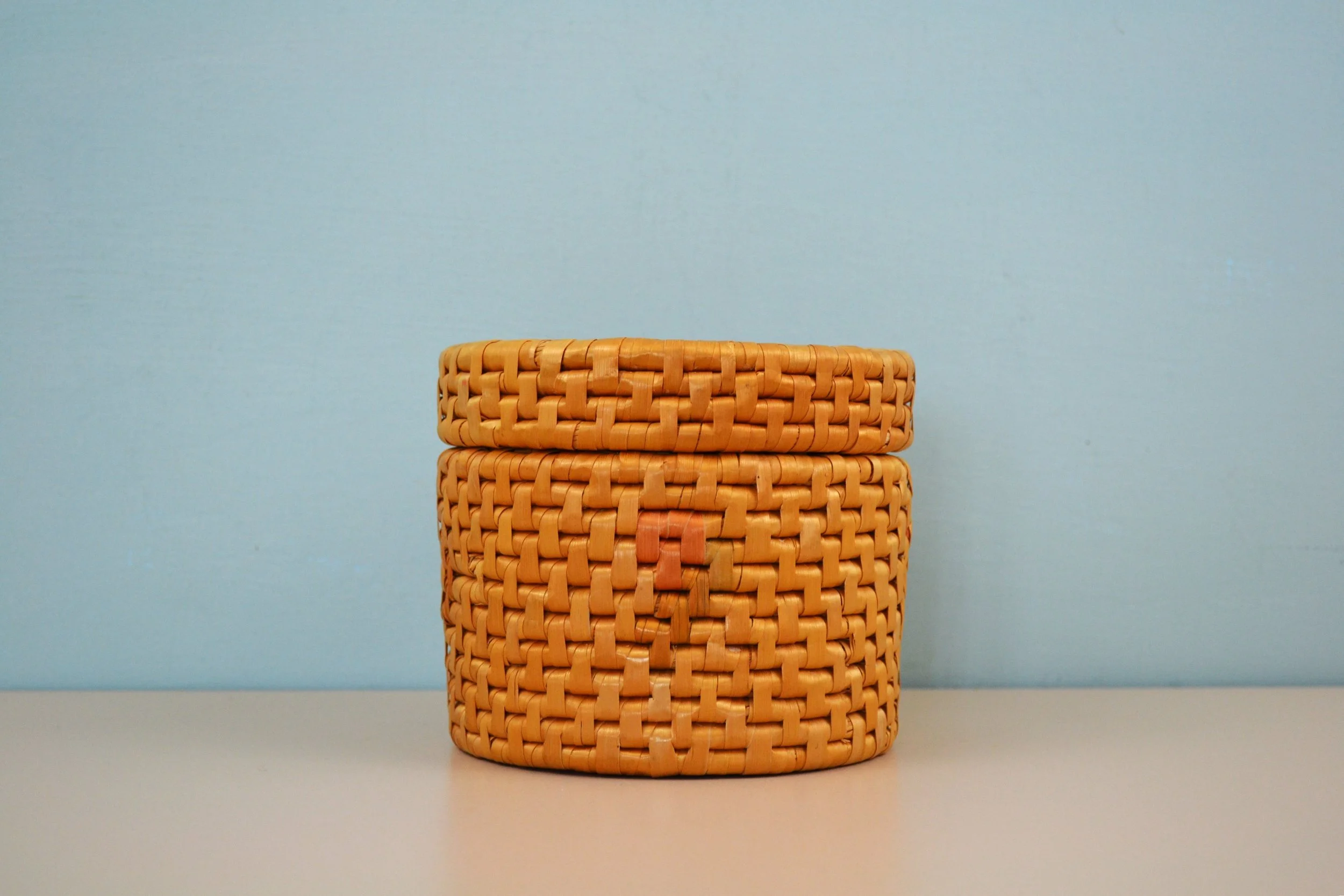 DSC_0013 - Copy (4).JPG