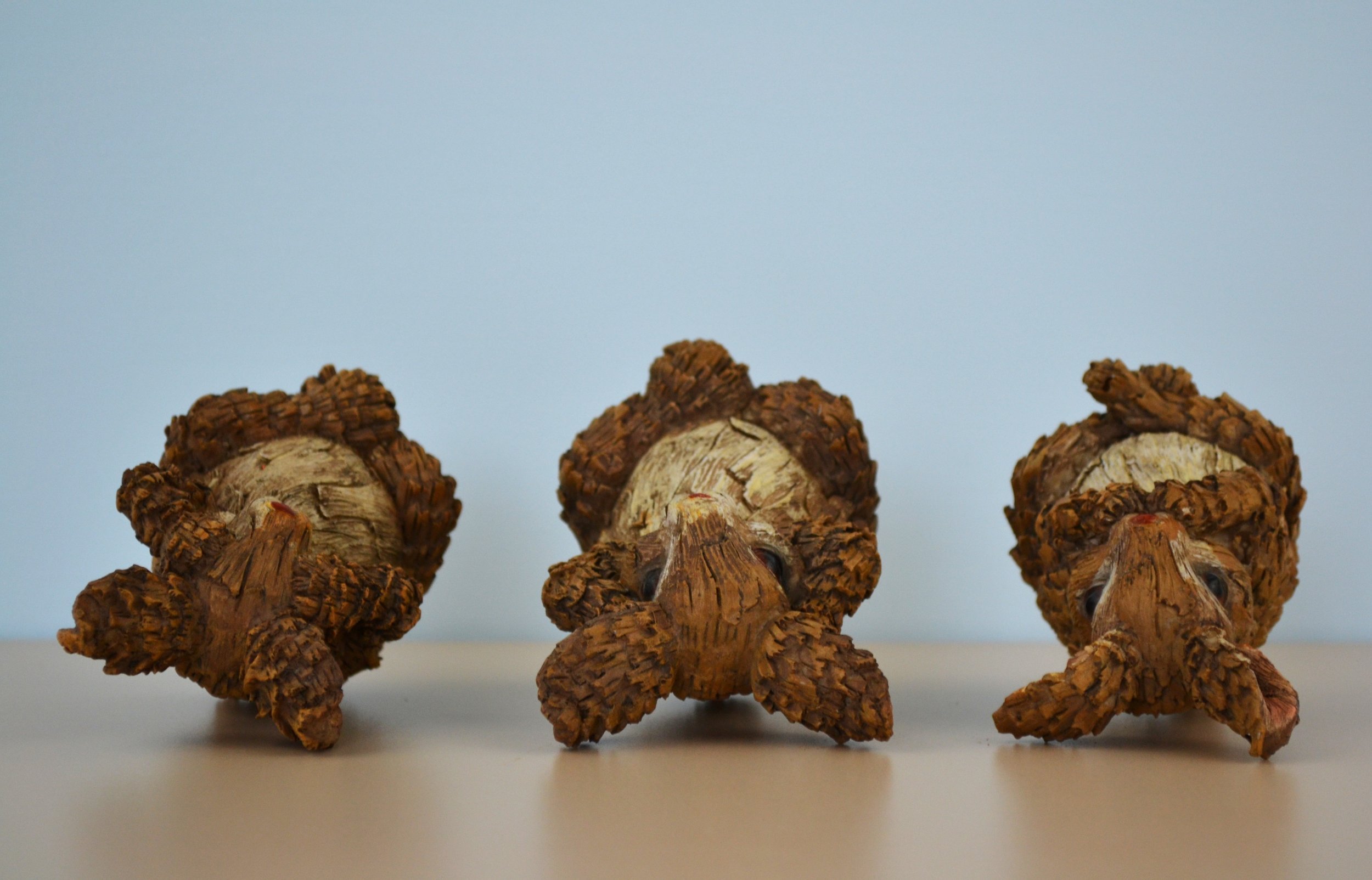 DSC_0023 - Copy (2).JPG