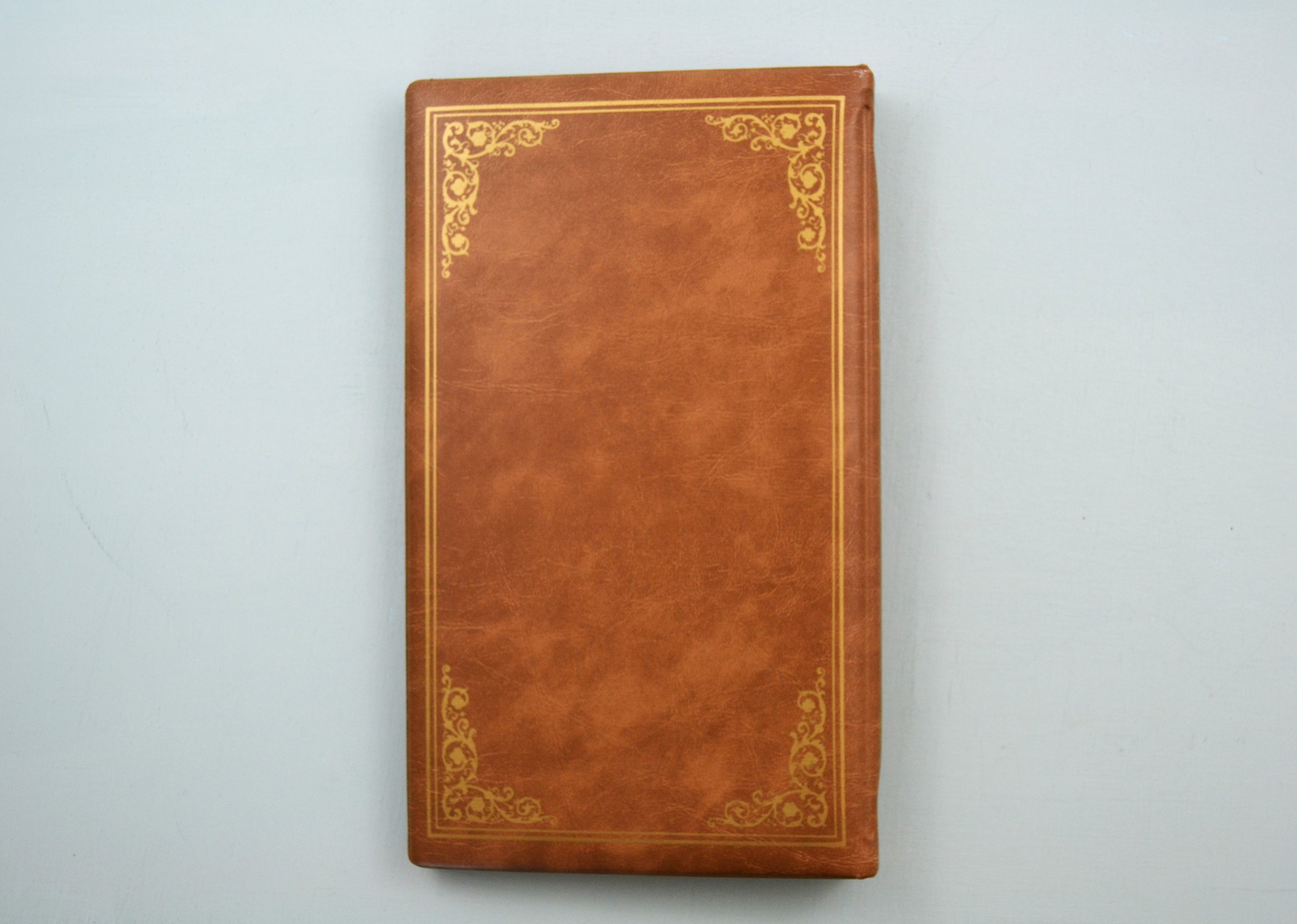 DSC_0017 - Copy (2).JPG