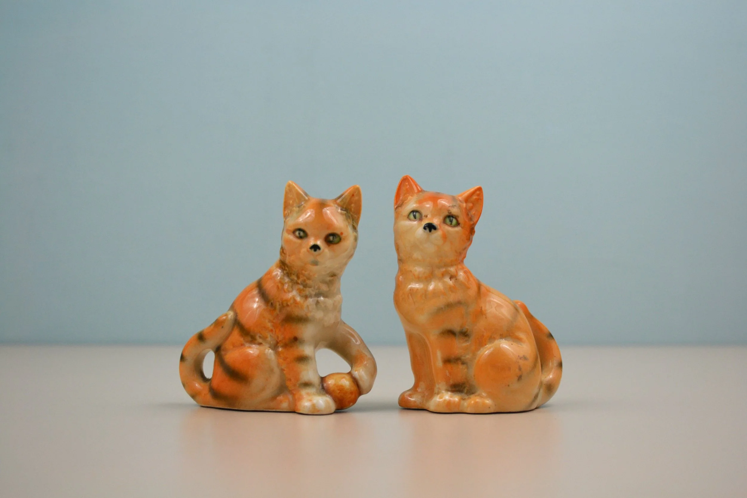 DSC_0006 - Copy (8).JPG