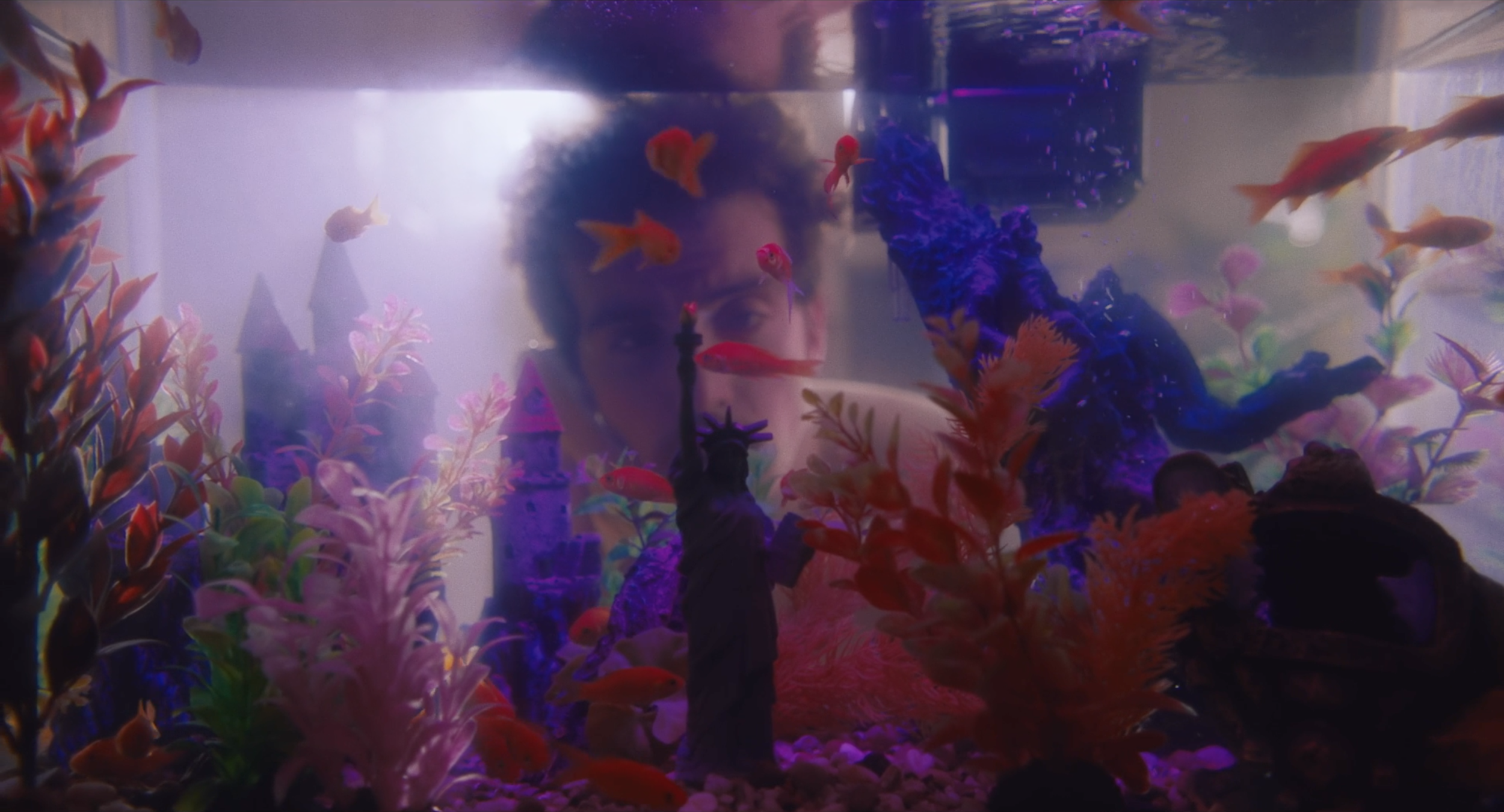 Screen Shot 2021-09-17 at 12.59.14 PM.png