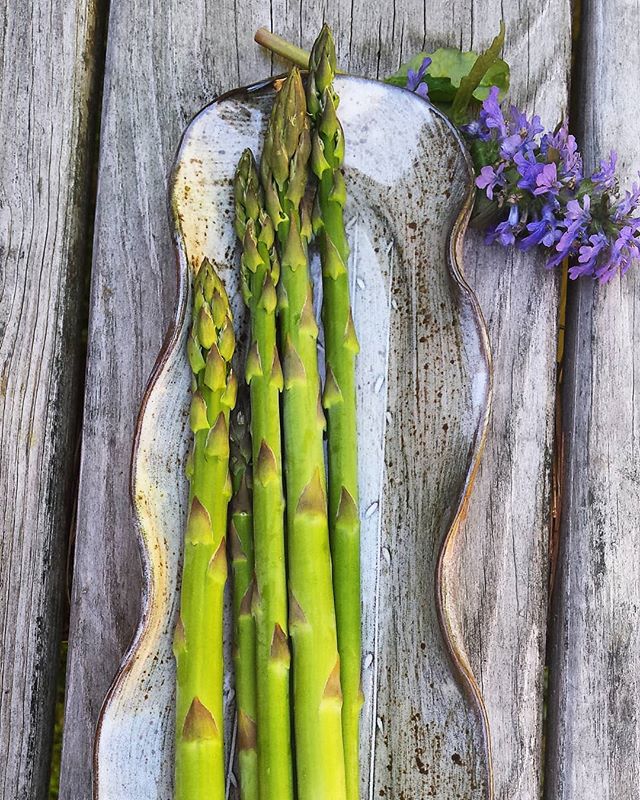 Tiny trees for dinner...
.
.
.
Asparagus trays in the shop .
.
.
#springvibes #frommygarden #eatyourgreens