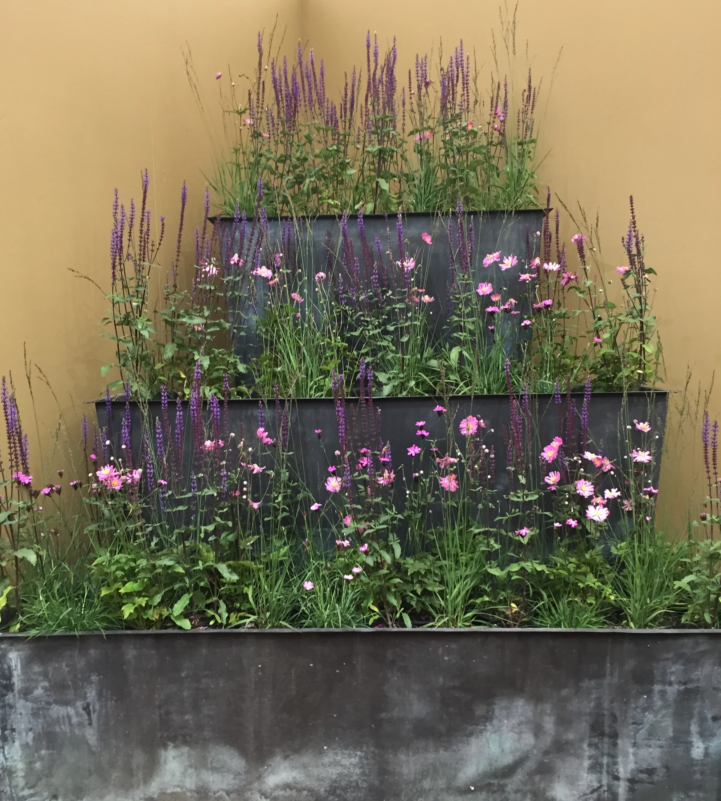 image23.jpeg