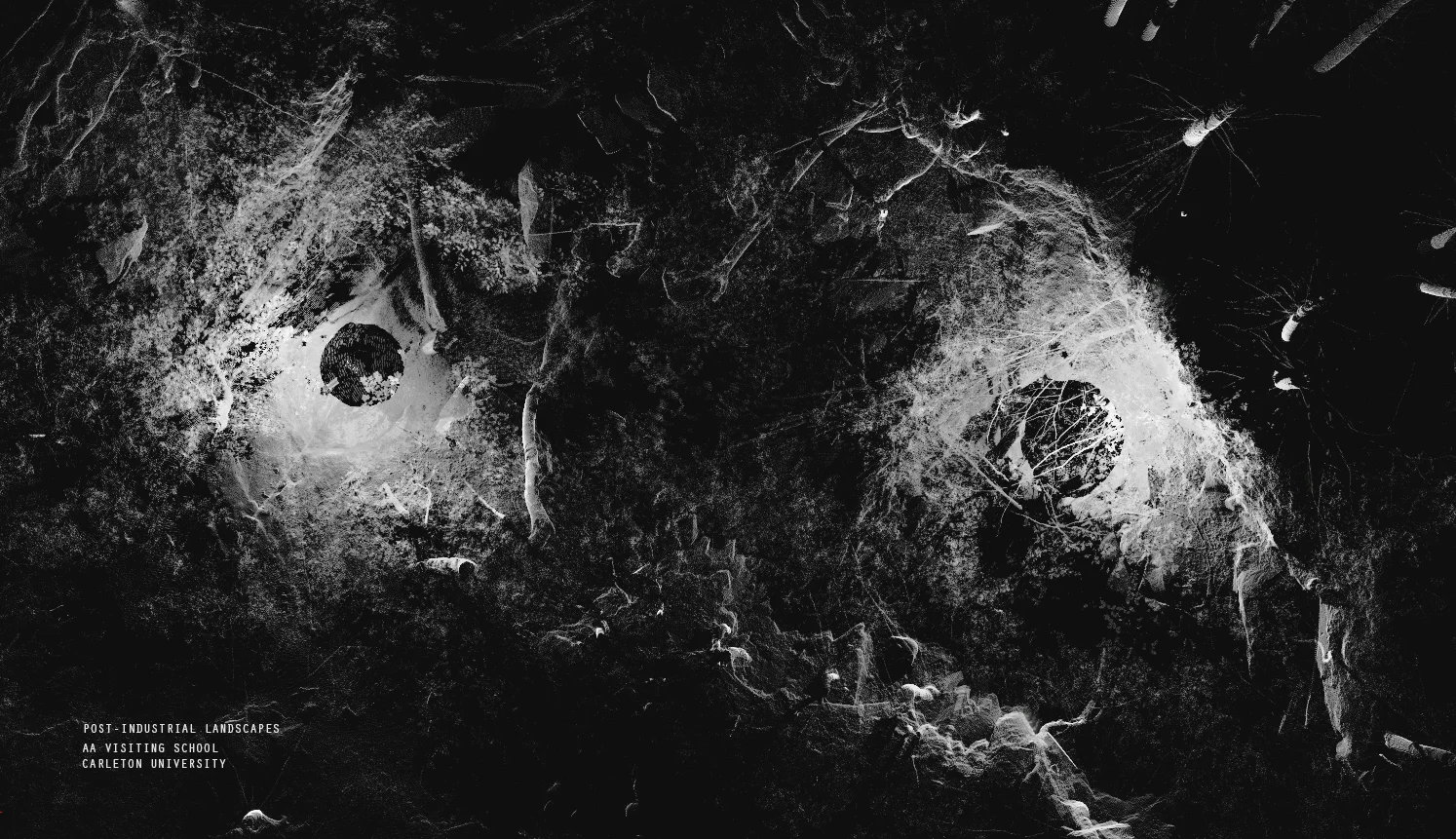 bw001.jpg