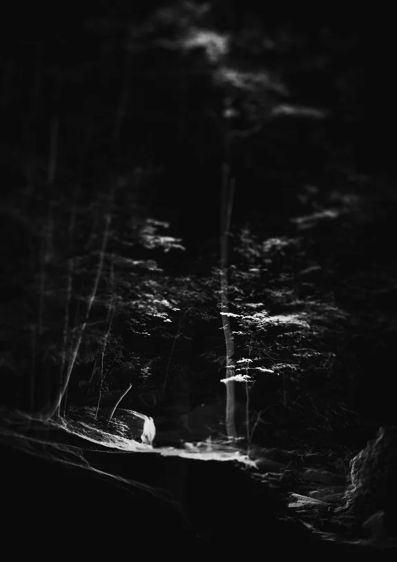 bw04.jpg