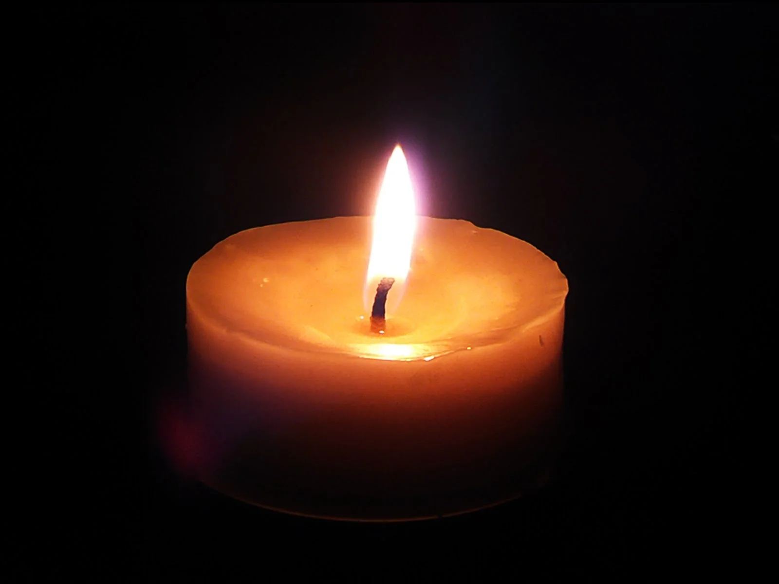 Alfred Kolbe Jr. 