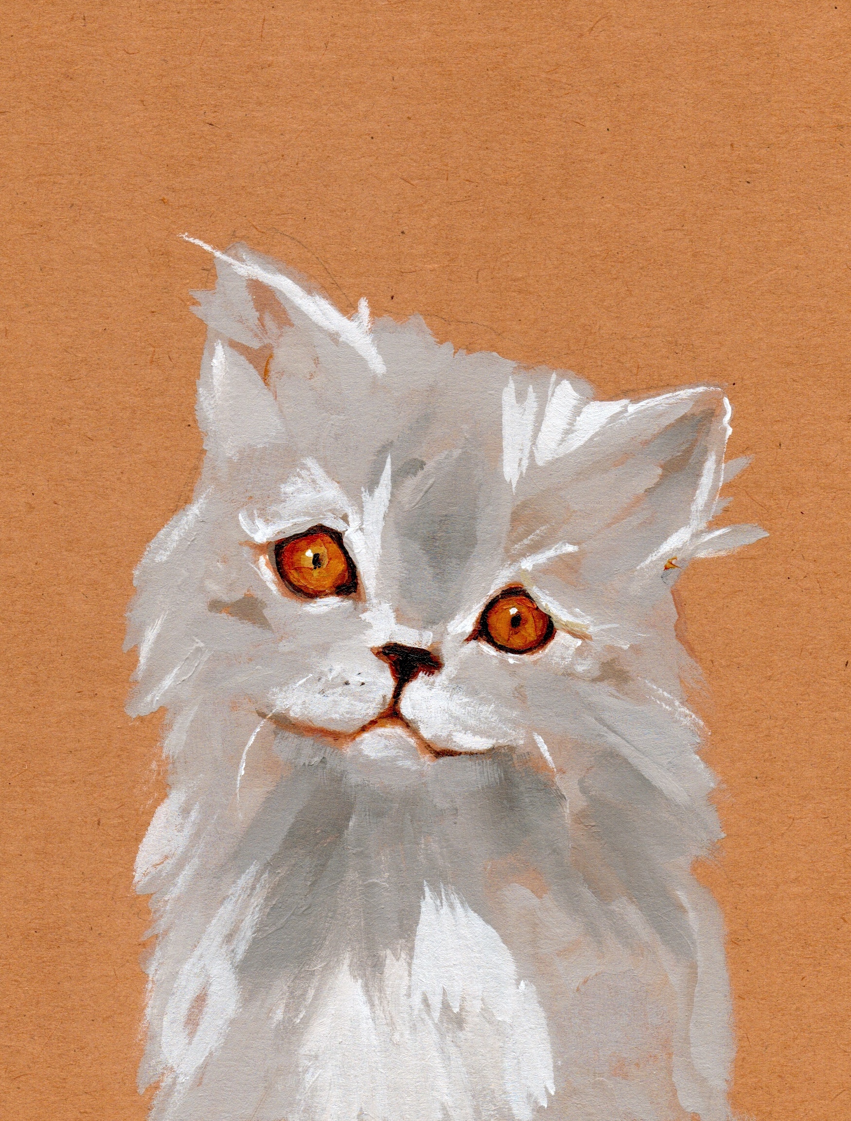 Overly concerned cat.