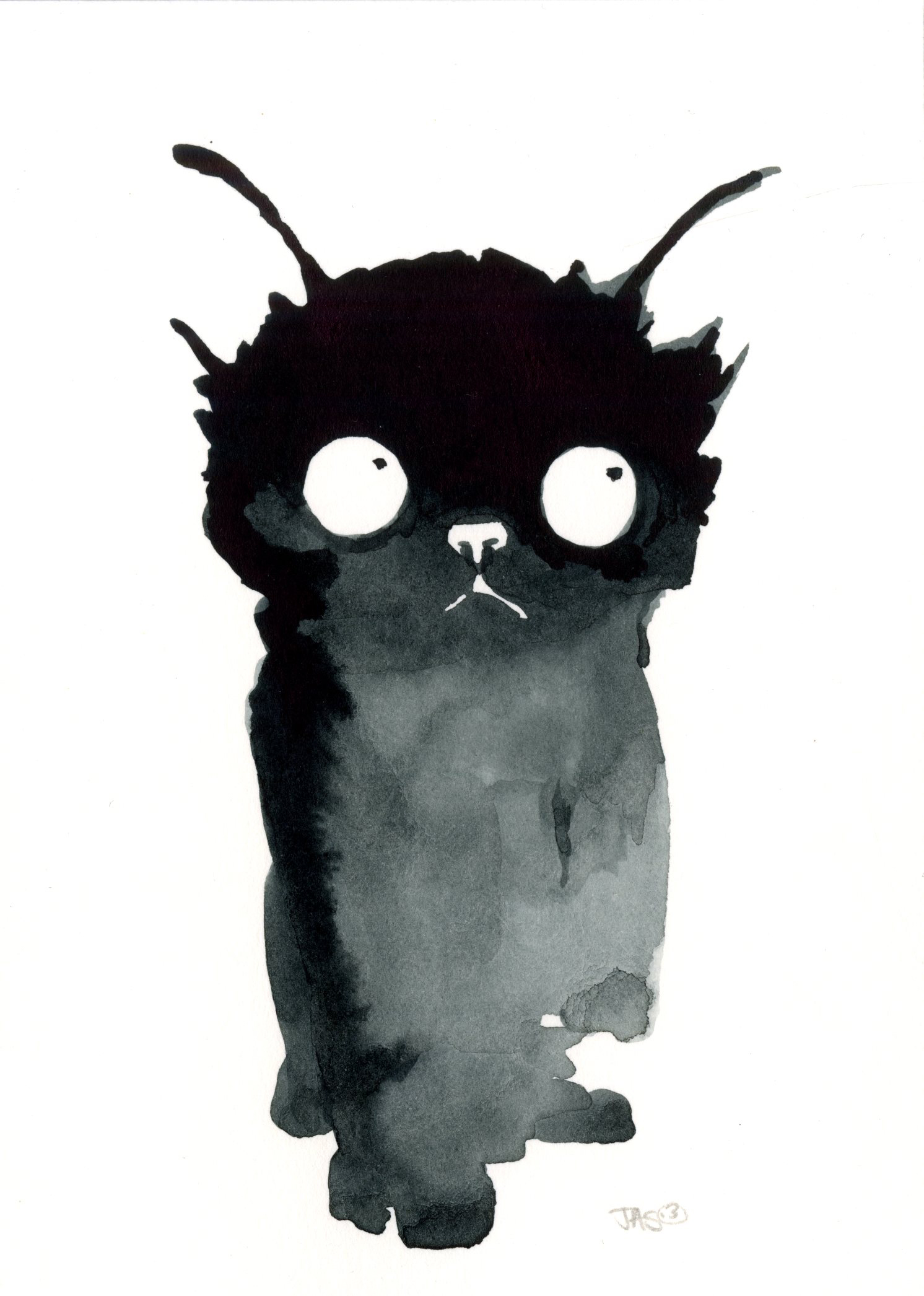Black Ink Wash Cat