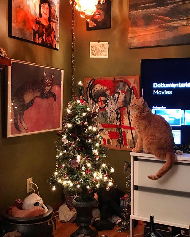 Hope you’re all having a wonderful day my friends. #arnold #cat #gingercat