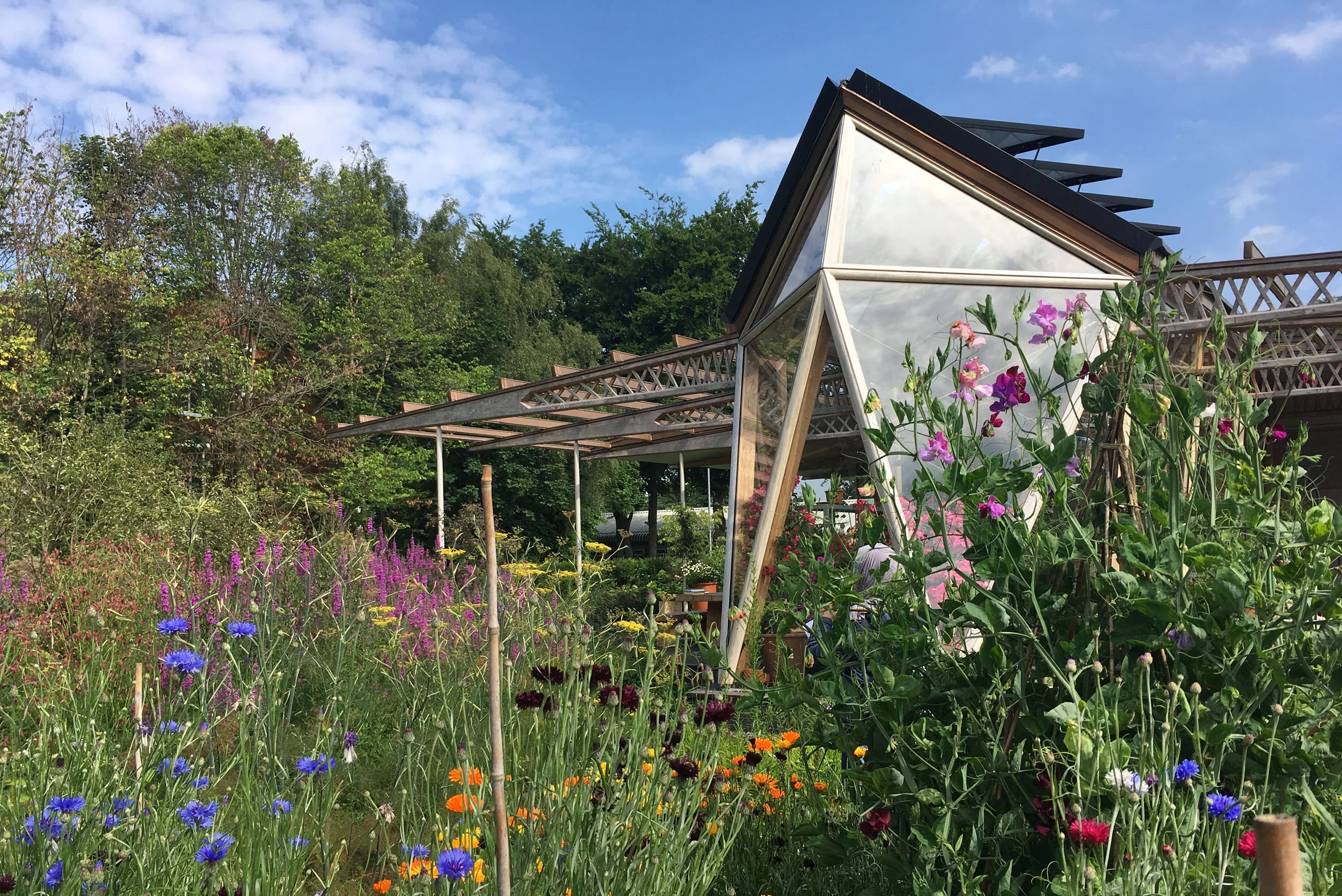 The Healing Power of Architecture