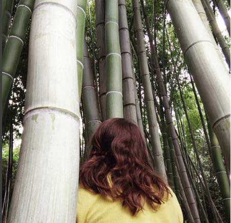 bamboo.jpg