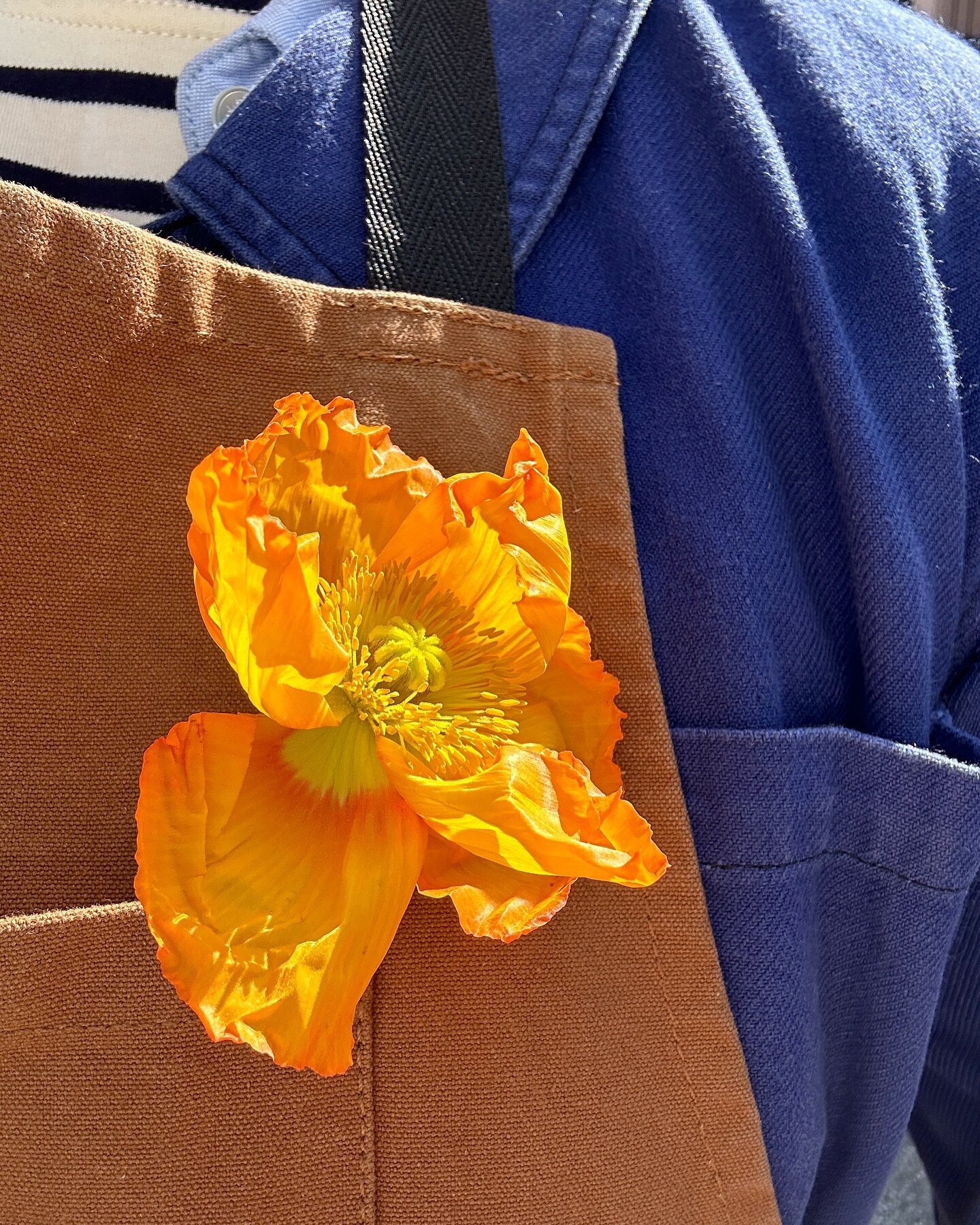 An unexpected delight of working with flowers all day, other than getting to wear my apron and working with my (very dirty from eucalyptus) hands, is that you end up smelling like flowers when you get home.