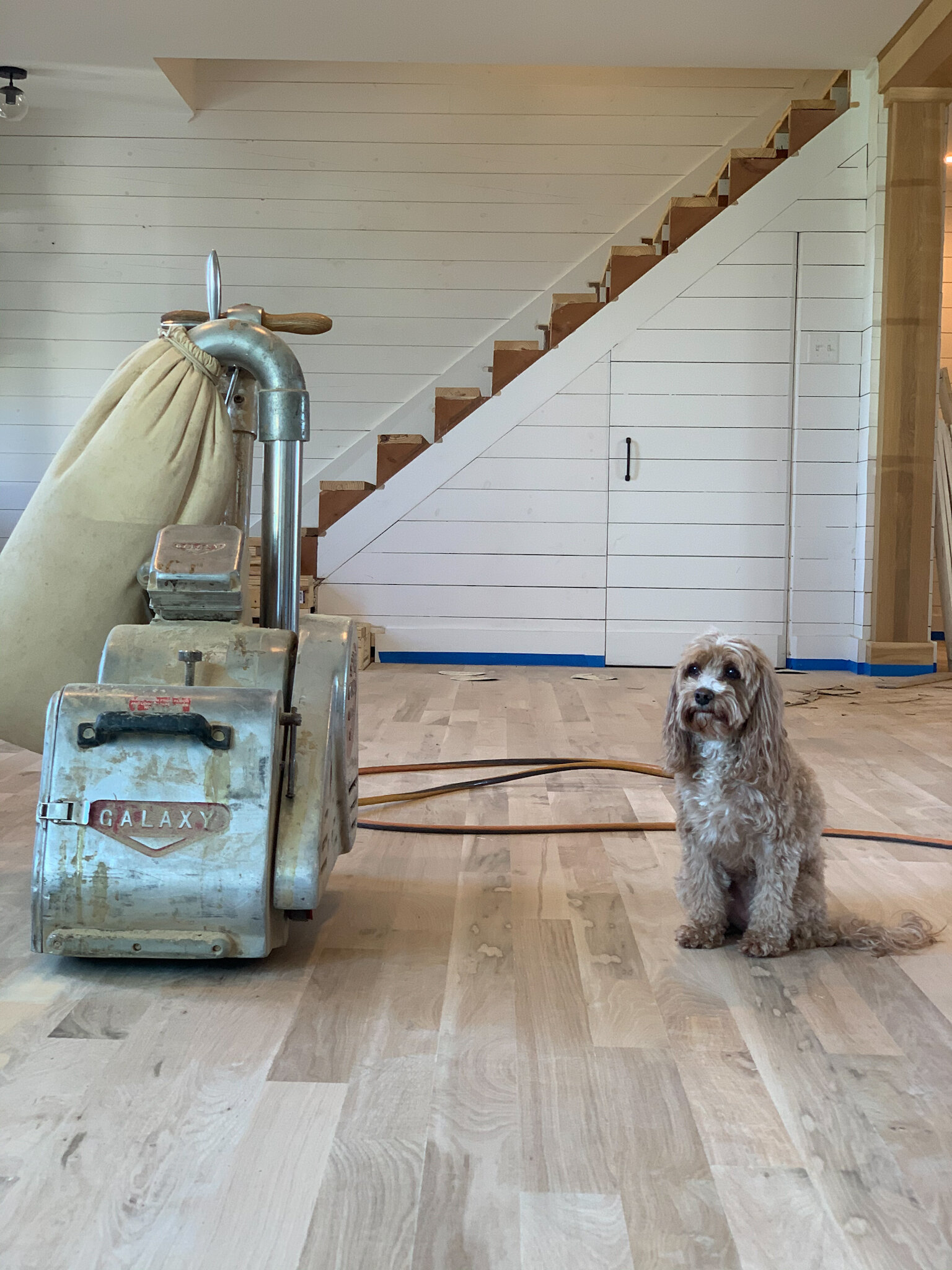 Oak Wood Carpeted Pet Stairs