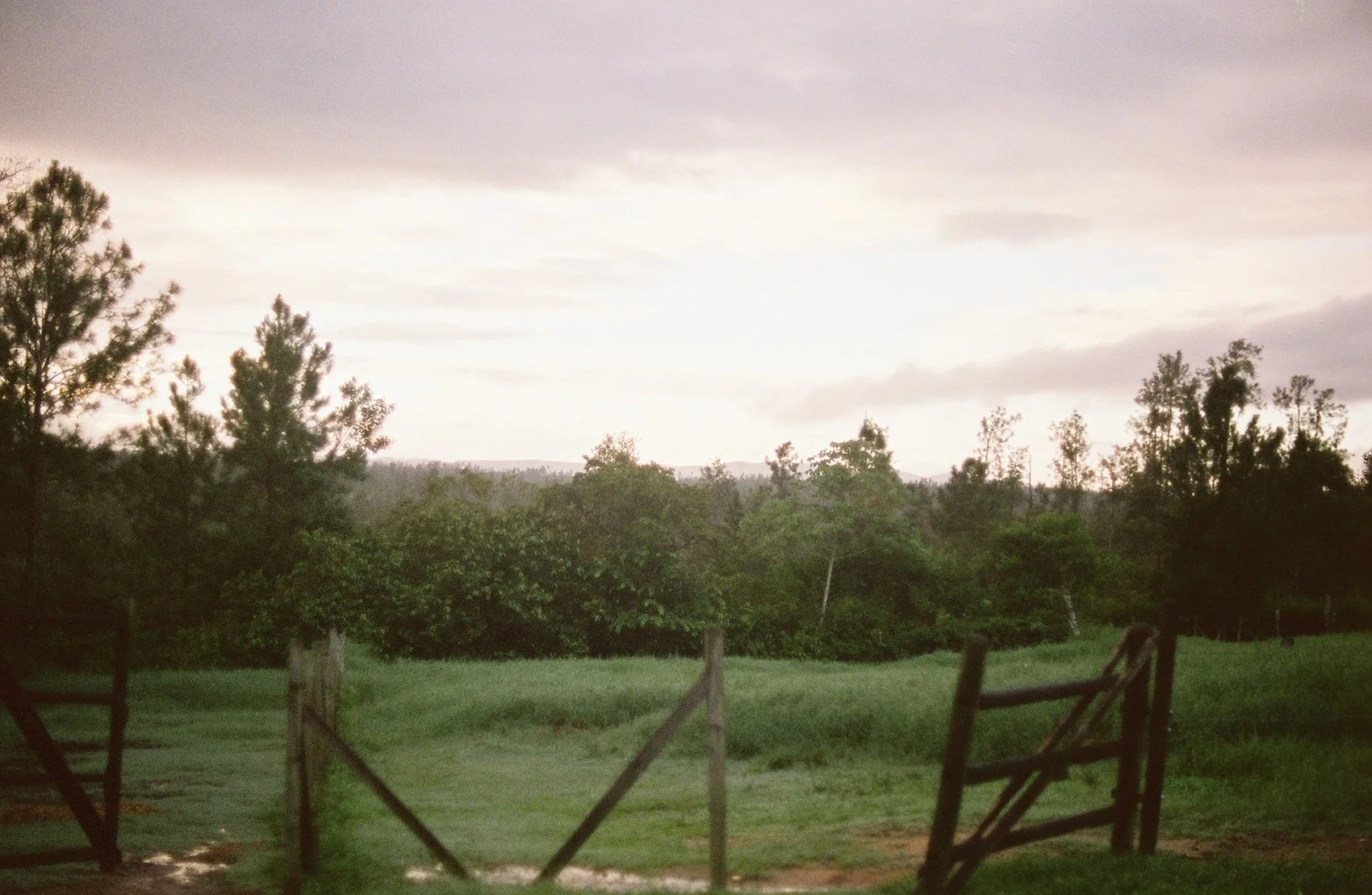 86639R1-R01-037A (1).Jpg