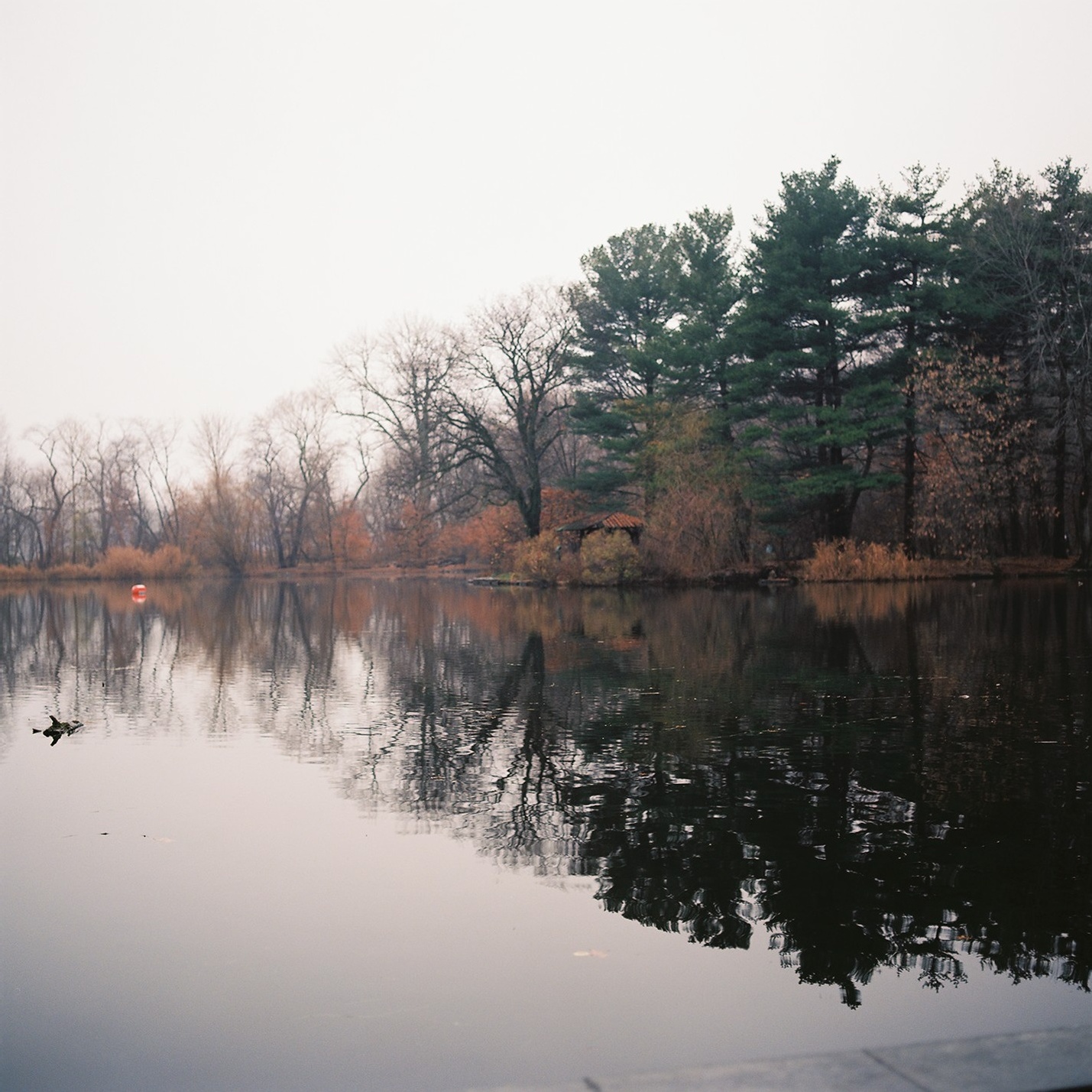 88140R2-R01-006 (1).Jpg