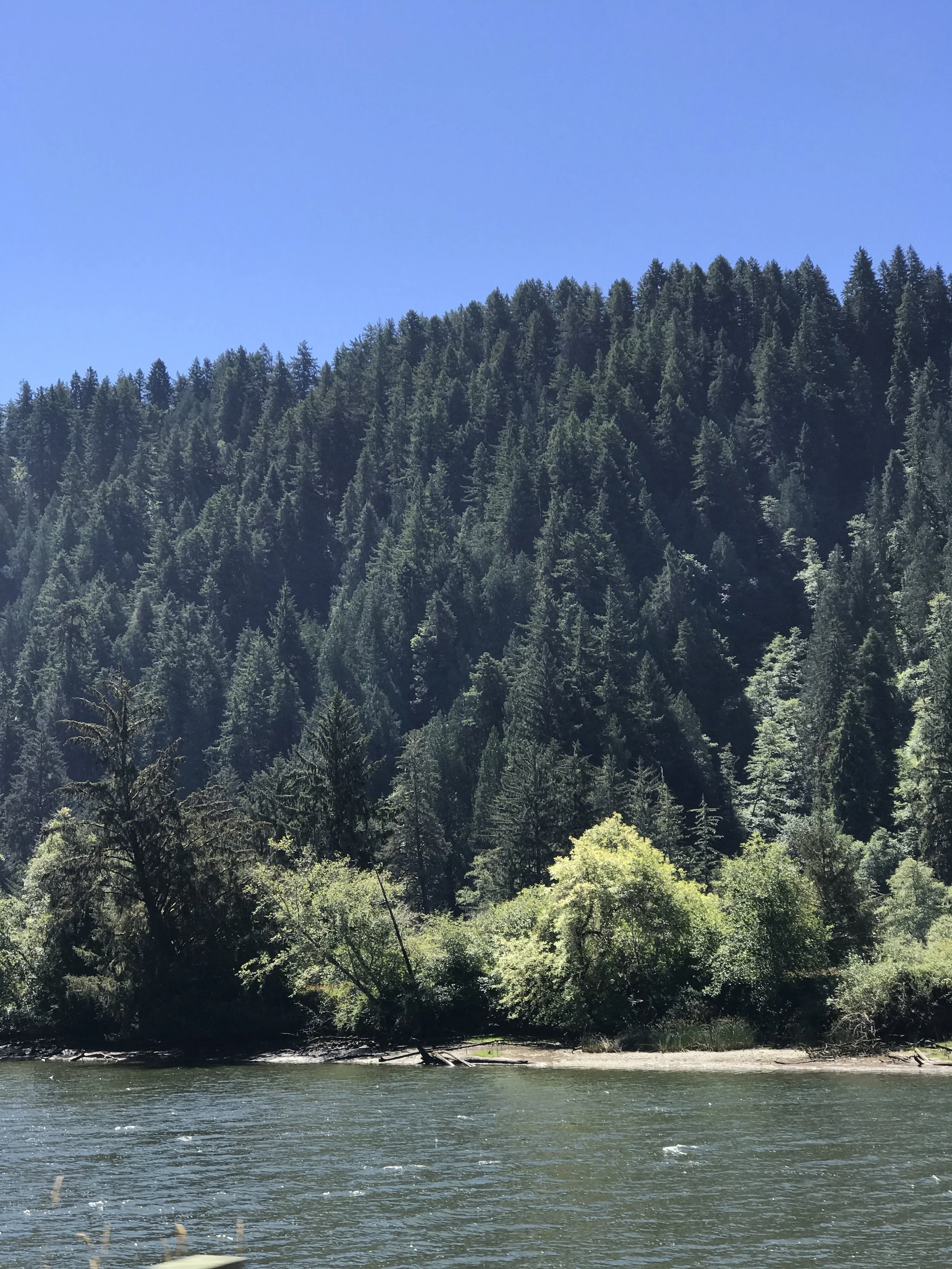 Oregon is beyond beautiful. One of our snaps while driving along the highway.