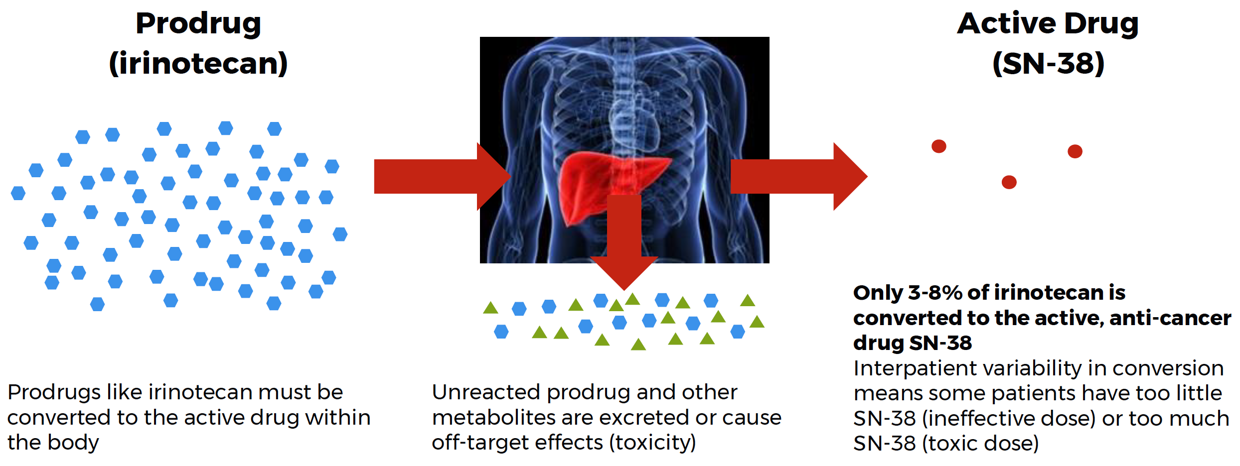Mathijssen, R.H., et. al., Clin. Cancer Res., 2001, 7, 2182-2194.
