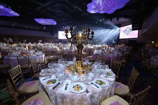 GALA 2015 TABLE 14 copy.jpeg