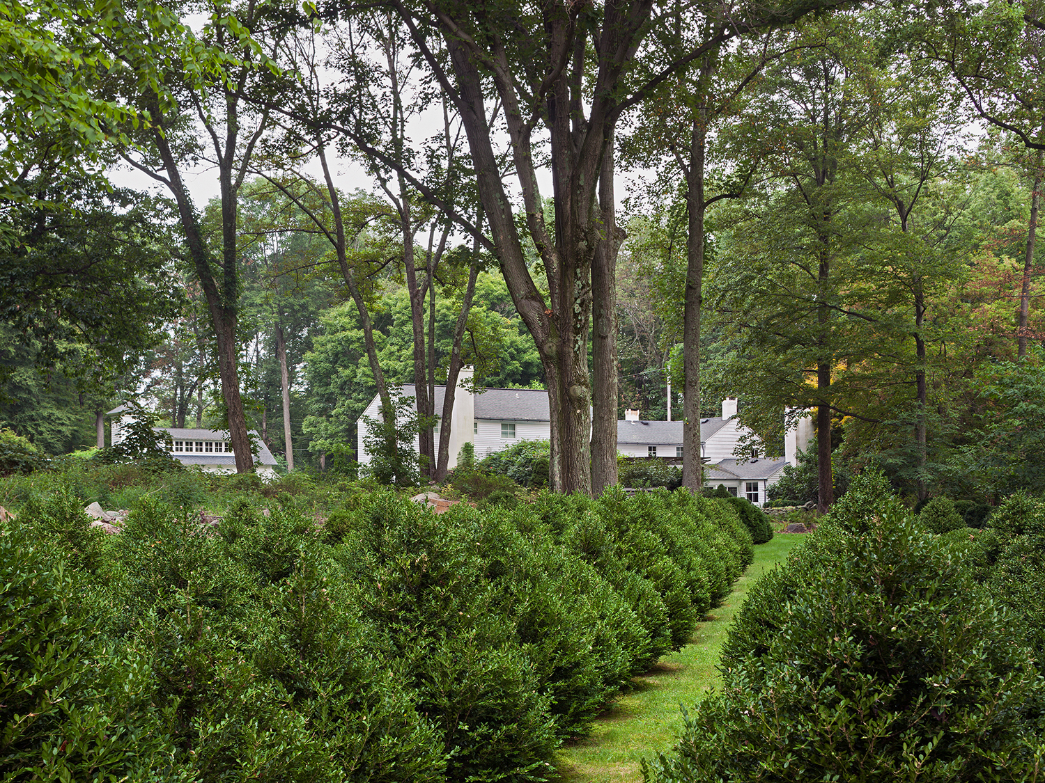 AT THE BOXWOOD FARM, THE GARDENS REFER TO THE AREA'S AGRICULTURAL PAST