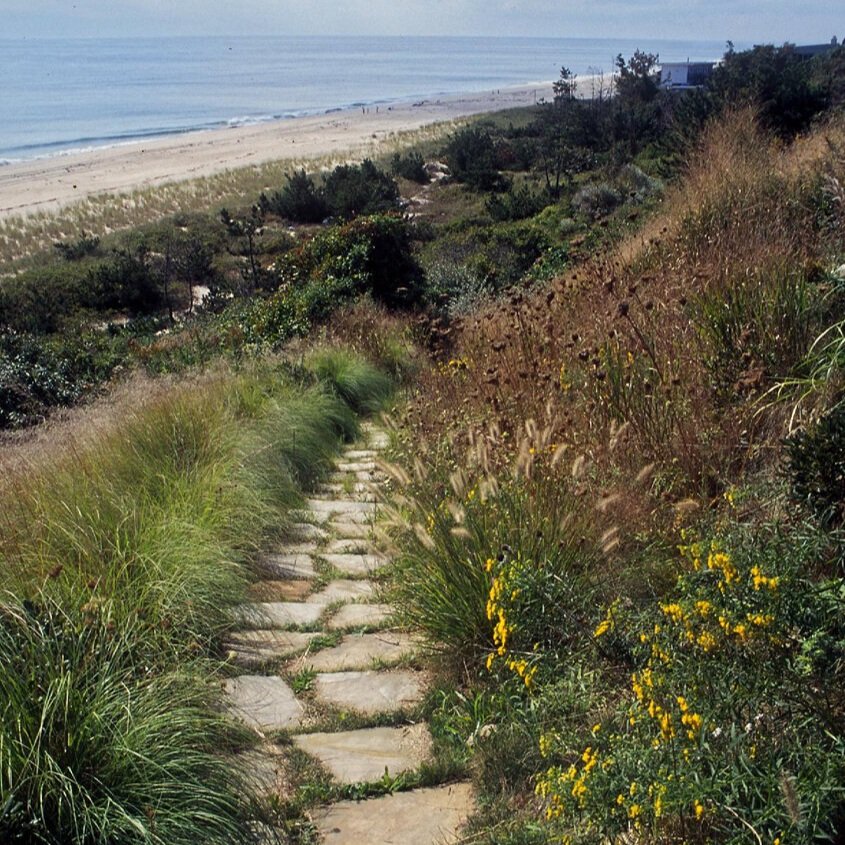 Zabala-path+to+ocean+2.jpg