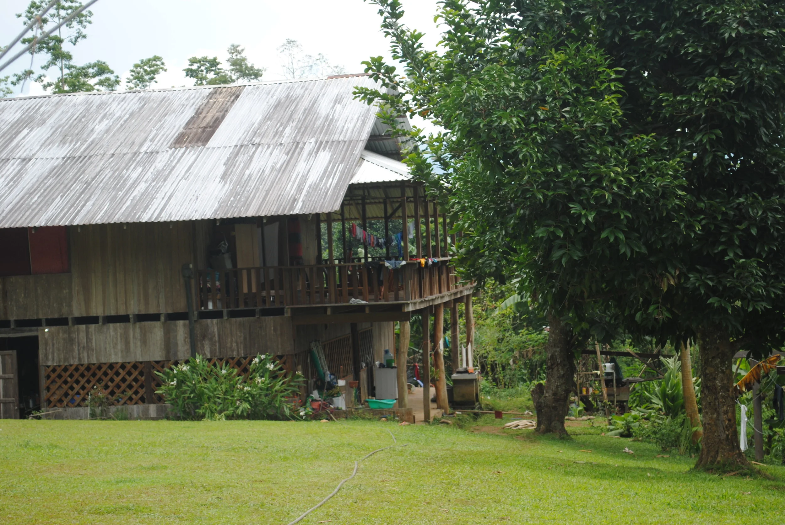 DSC_4372.JPG