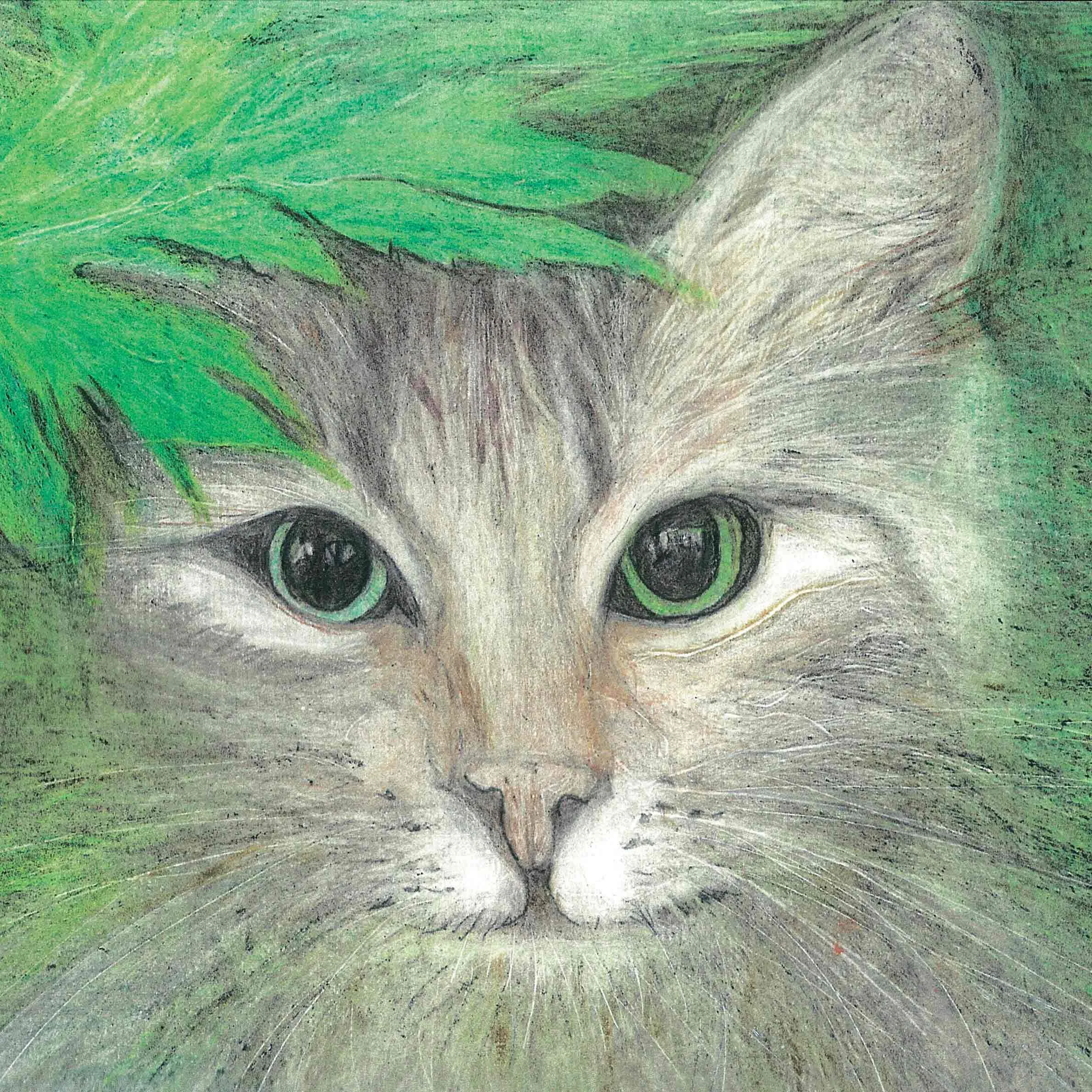 ASB-05-Starey-Cat-by-Dianne-Stephens-CMYK.jpg