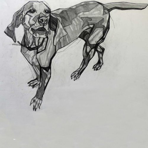 Emily-Beza,-Vizsla,-Charcoal-pencil-on-Paper+b.jpg