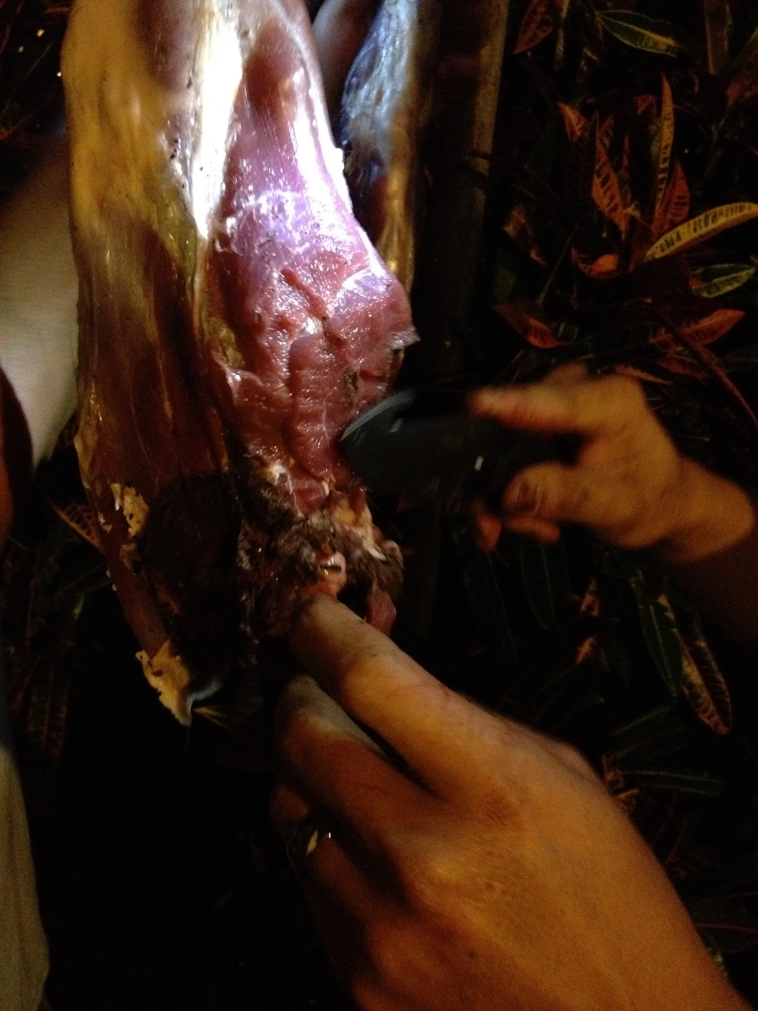 photo:Nanea Lum, 2014, Goat Leg.
